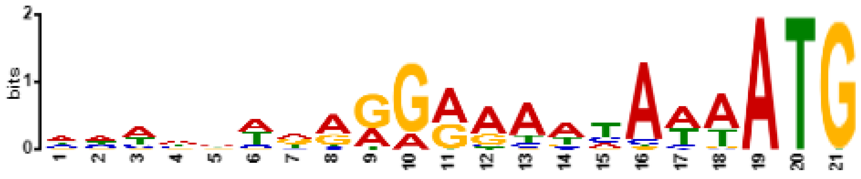 Viruses 14 01518 g007