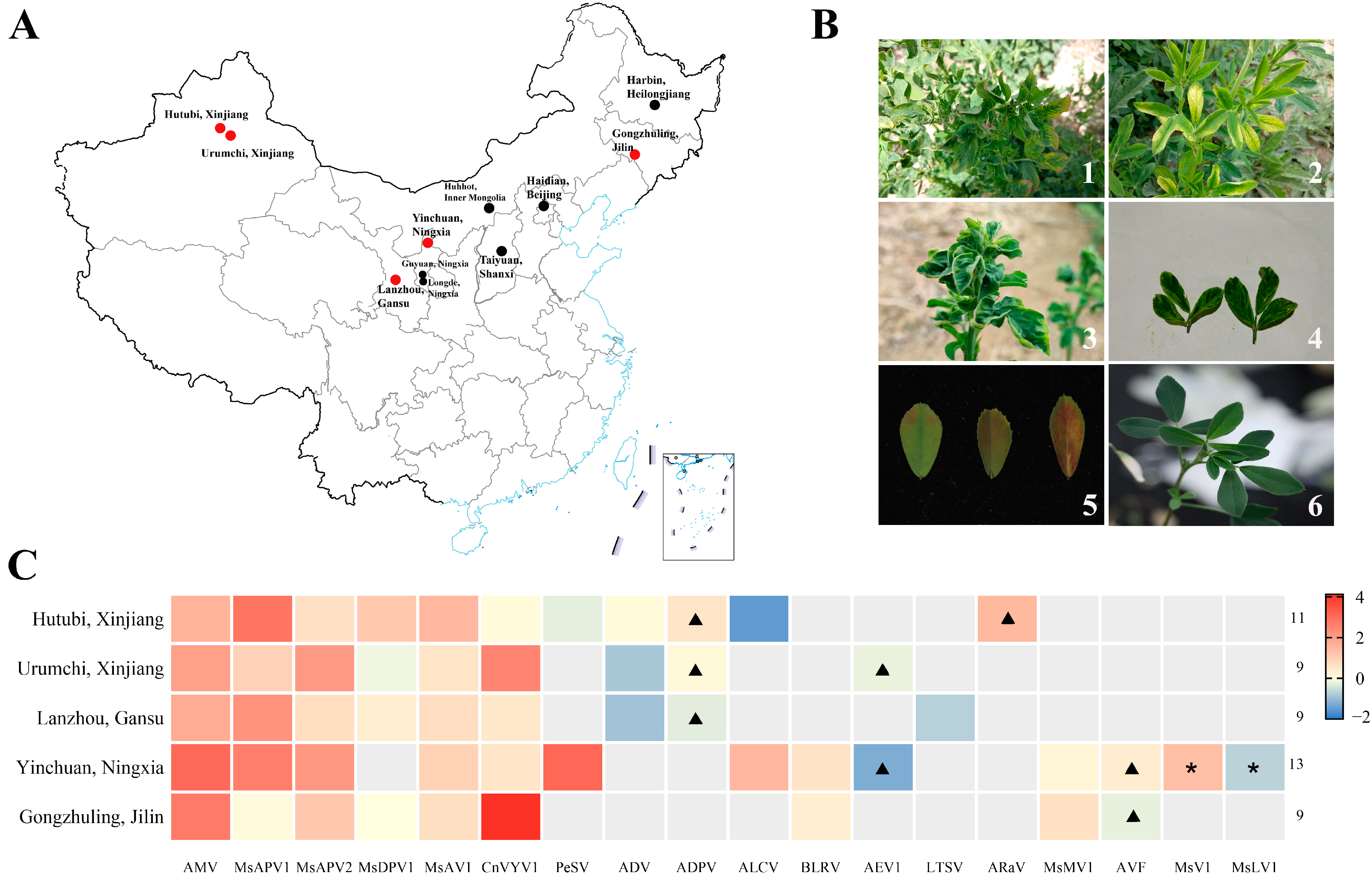 Viruses 14 01519 g001 Viruses 14 01519 g001