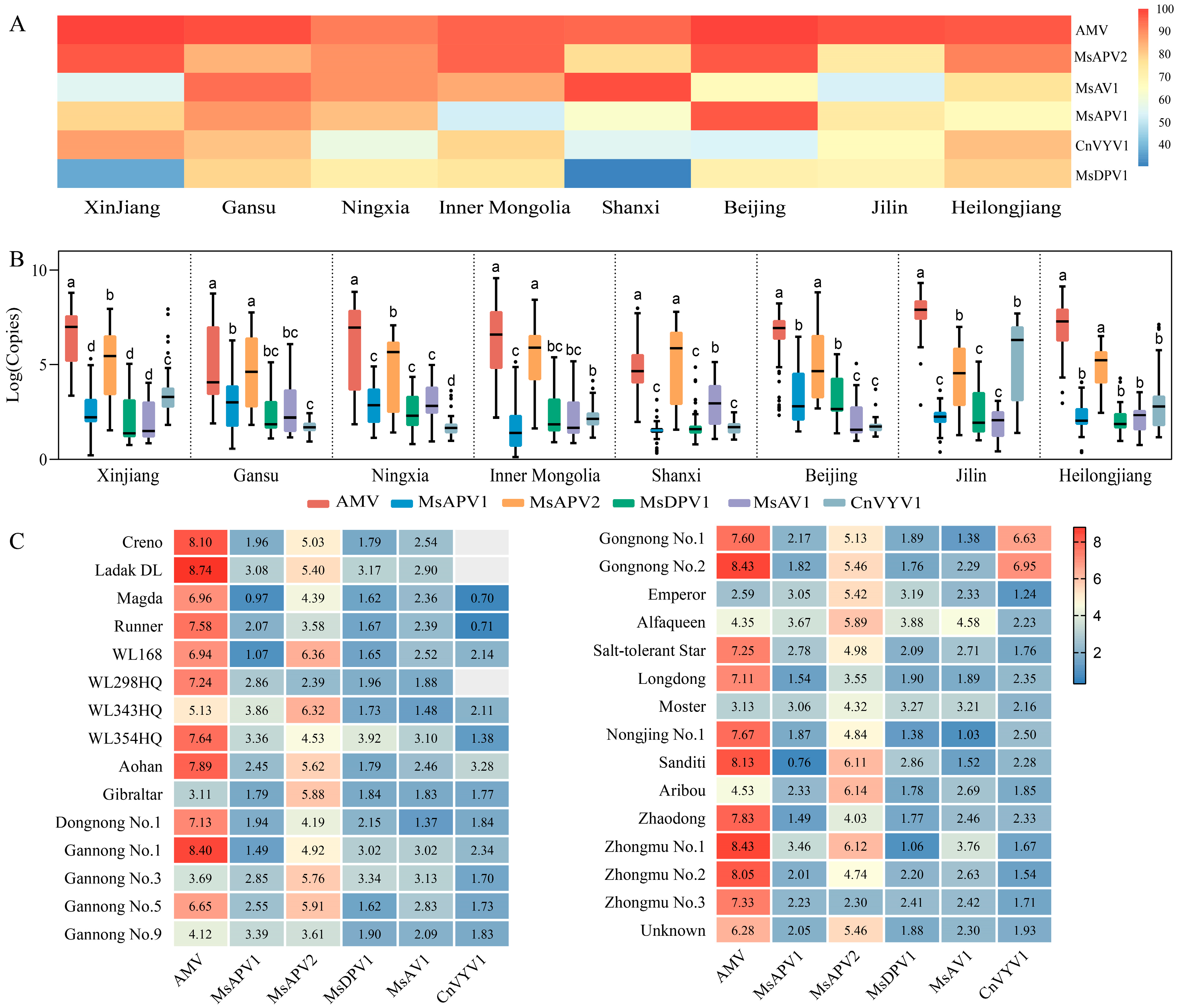Viruses 14 01519 g003 Viruses 14 01519 g003