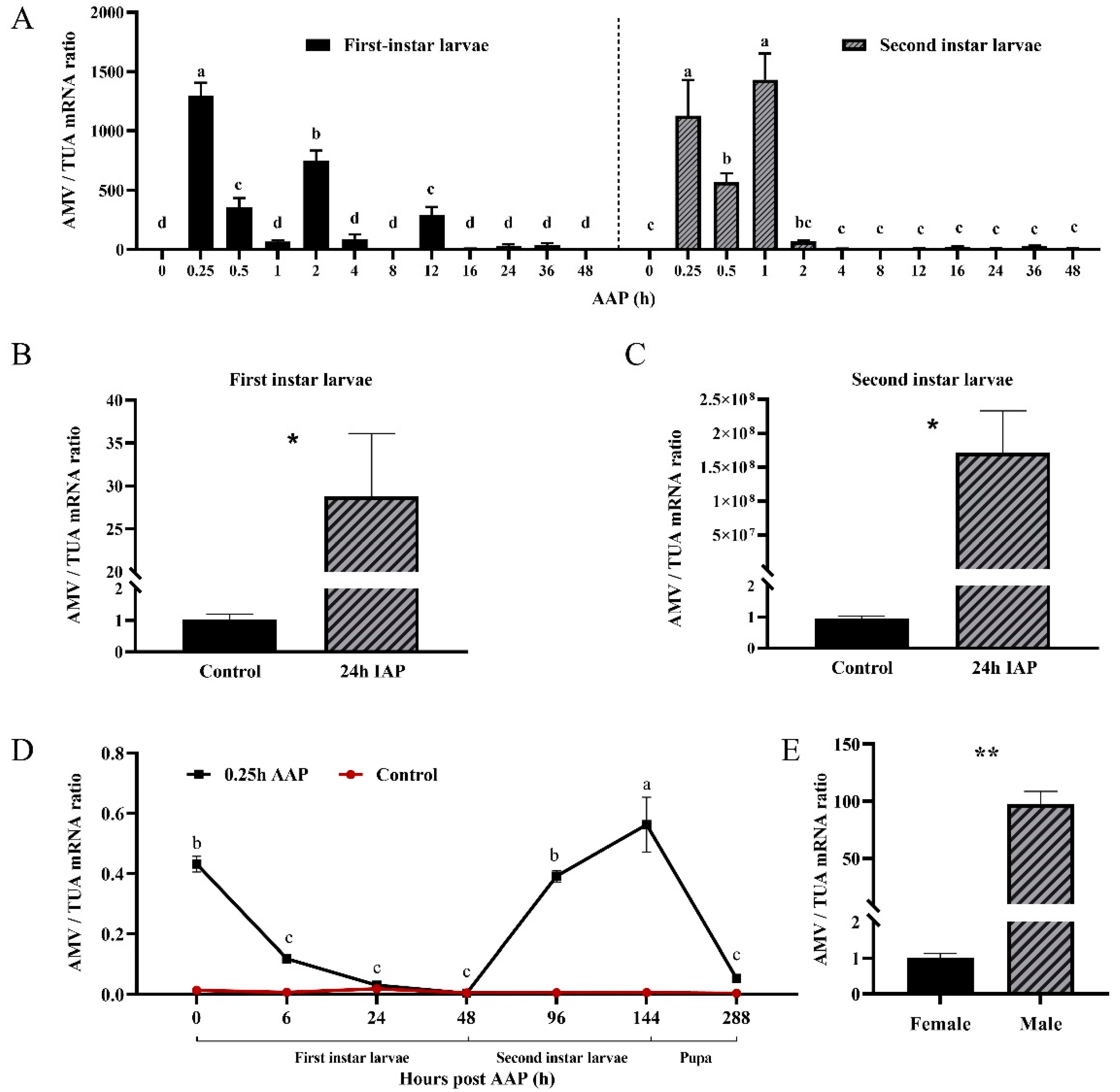 Viruses 14 01519 g004 Viruses 14 01519 g004