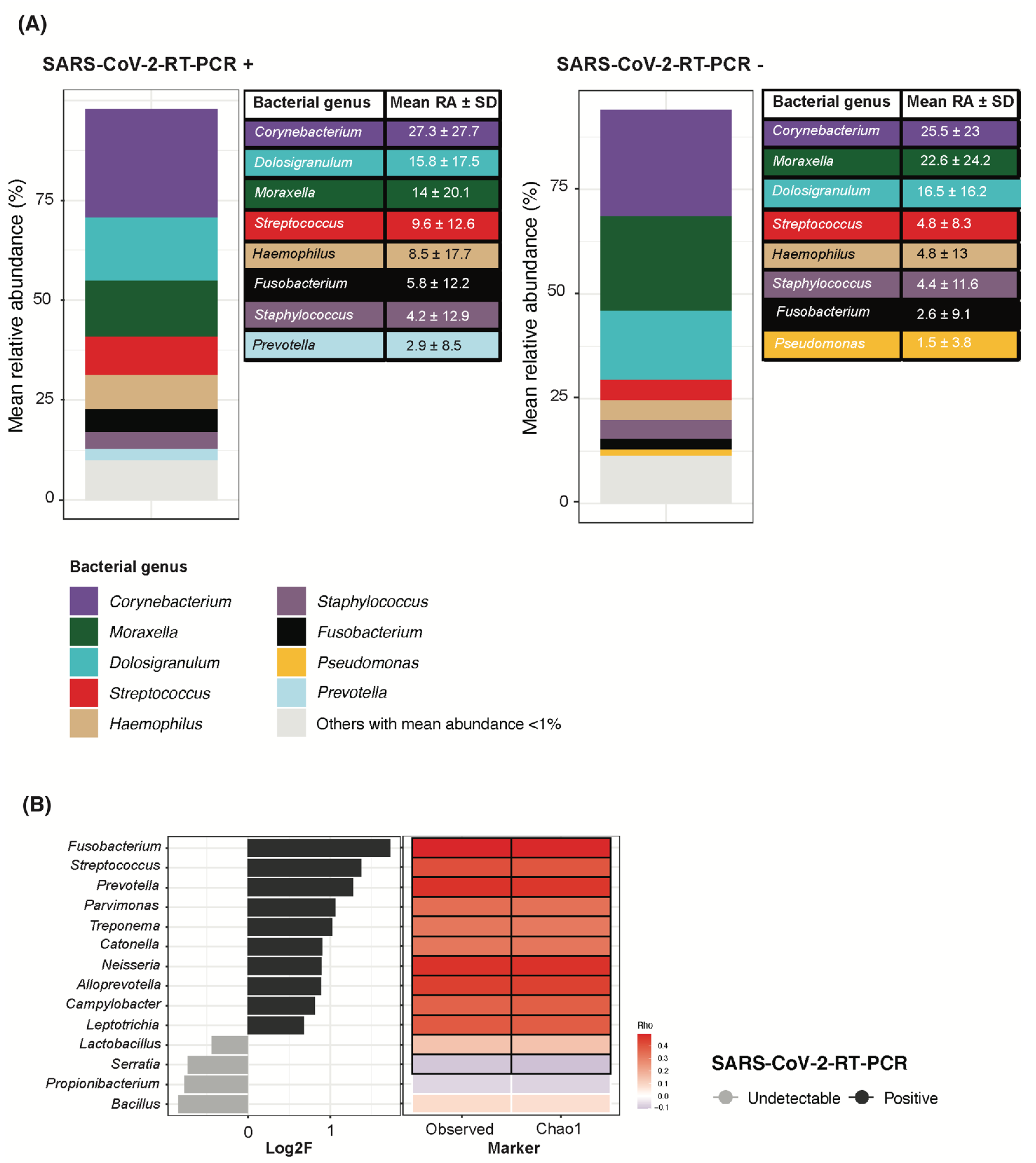 Viruses 14 01521 g003