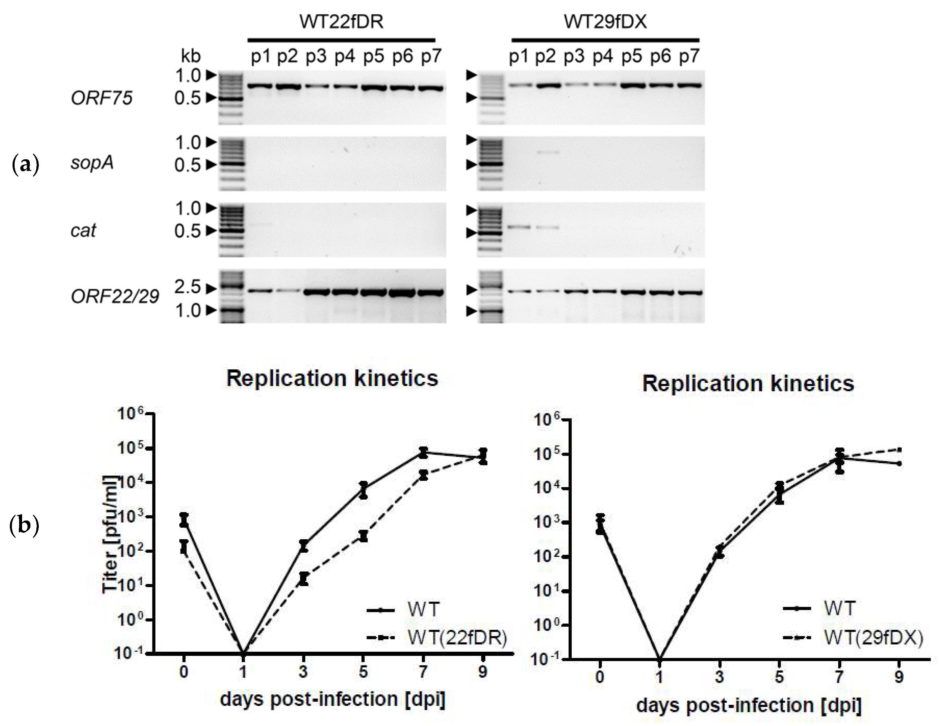 Viruses 14 01525 g002