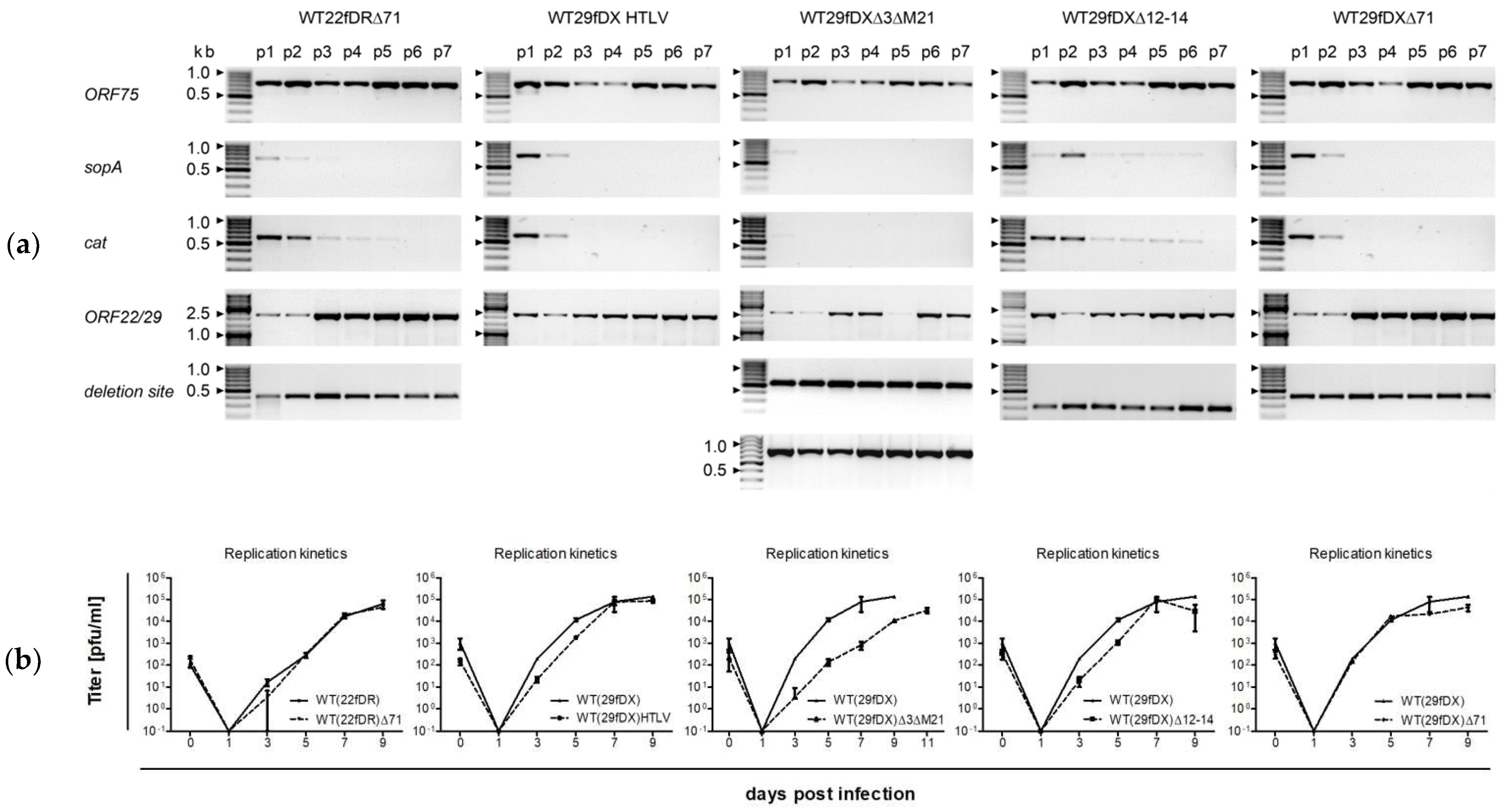 Viruses 14 01525 g004