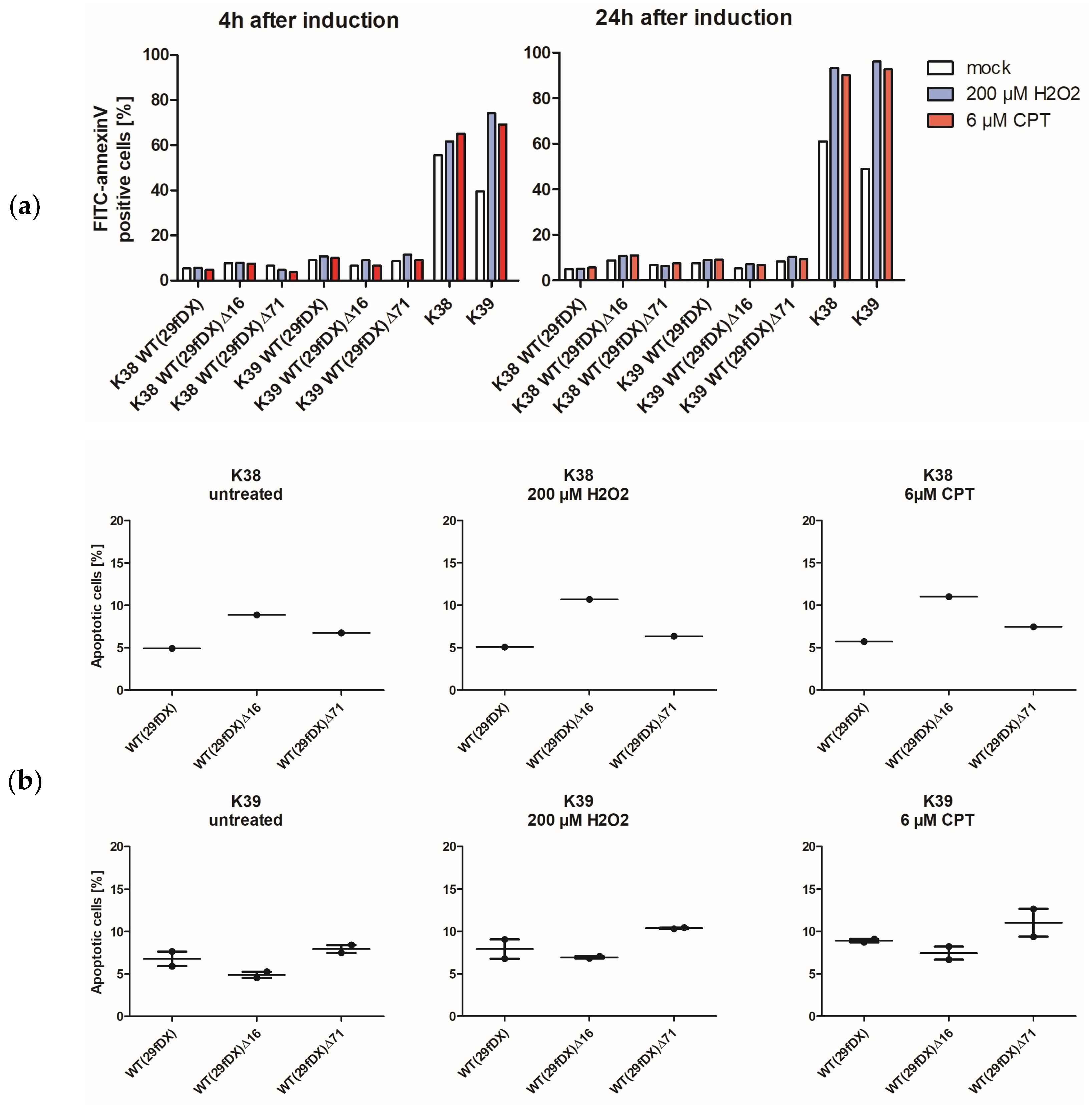 Viruses 14 01525 g005