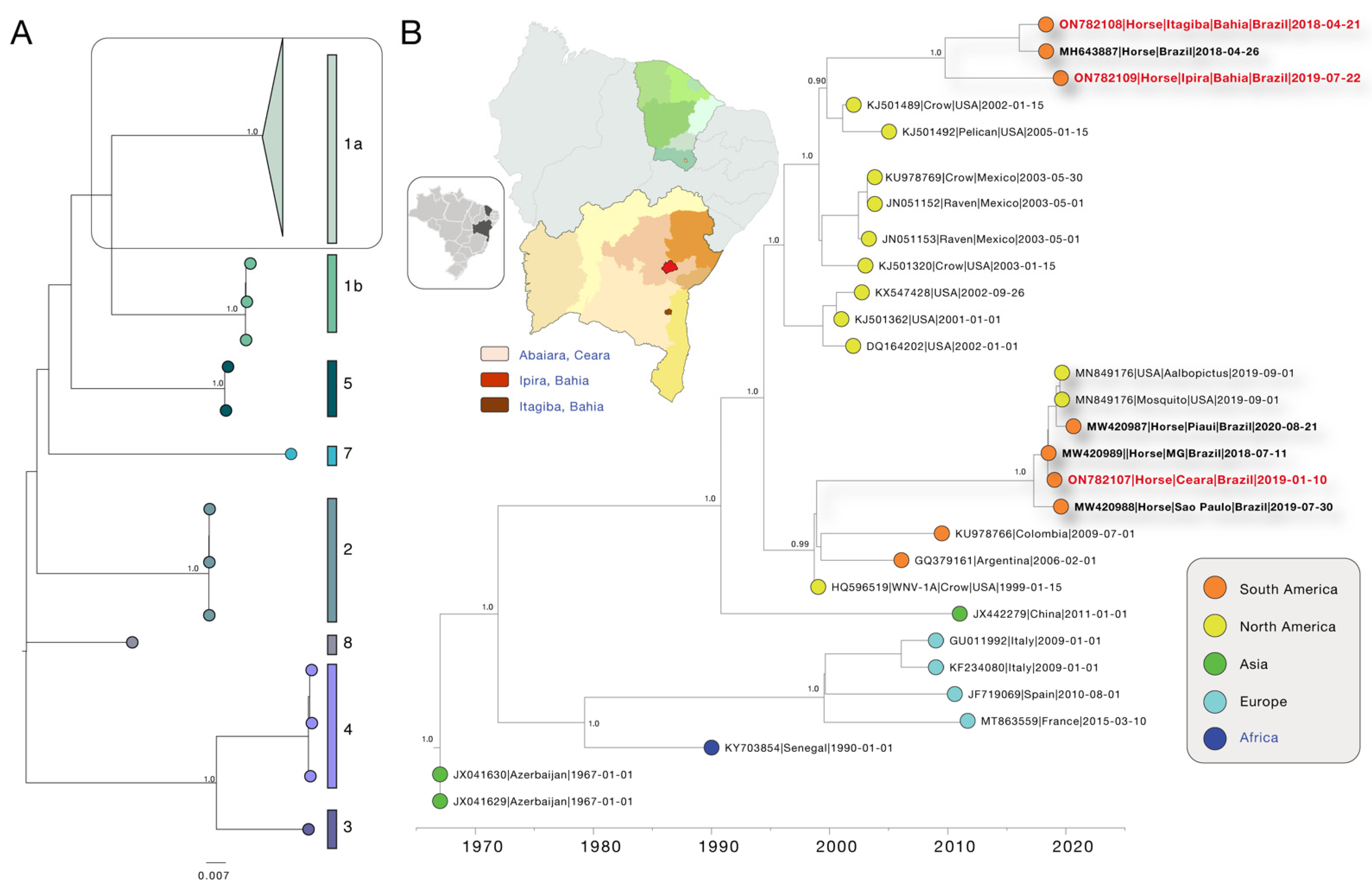 Viruses 14 01540 g001