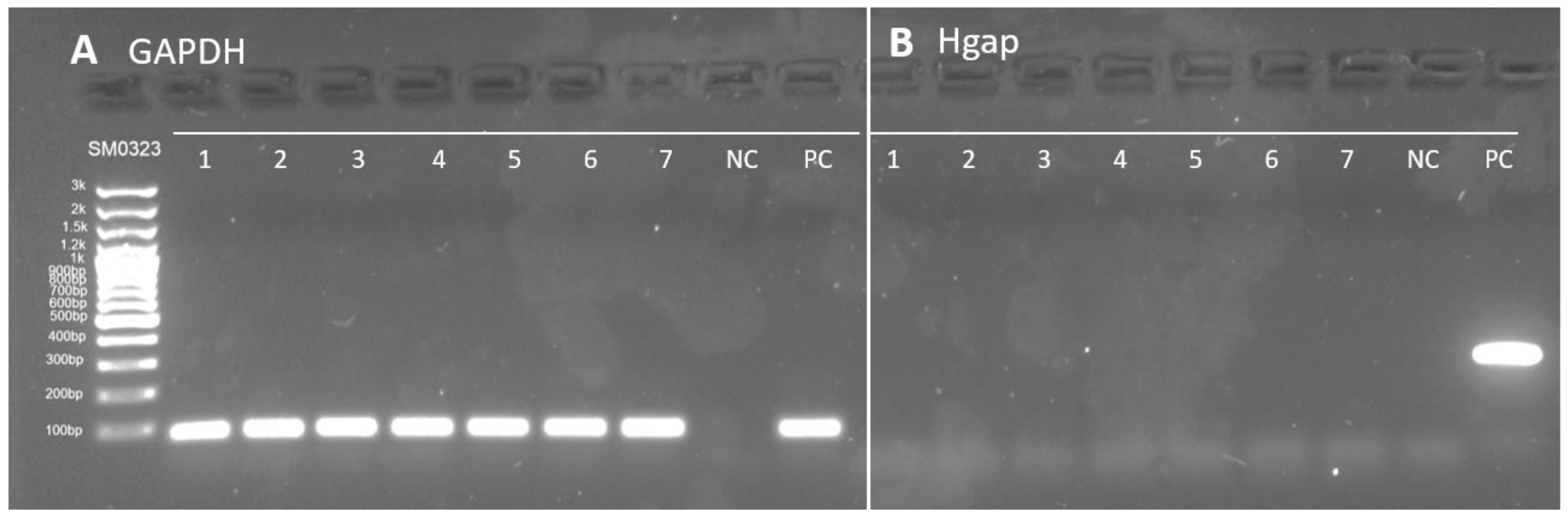 Viruses 14 01543 g001