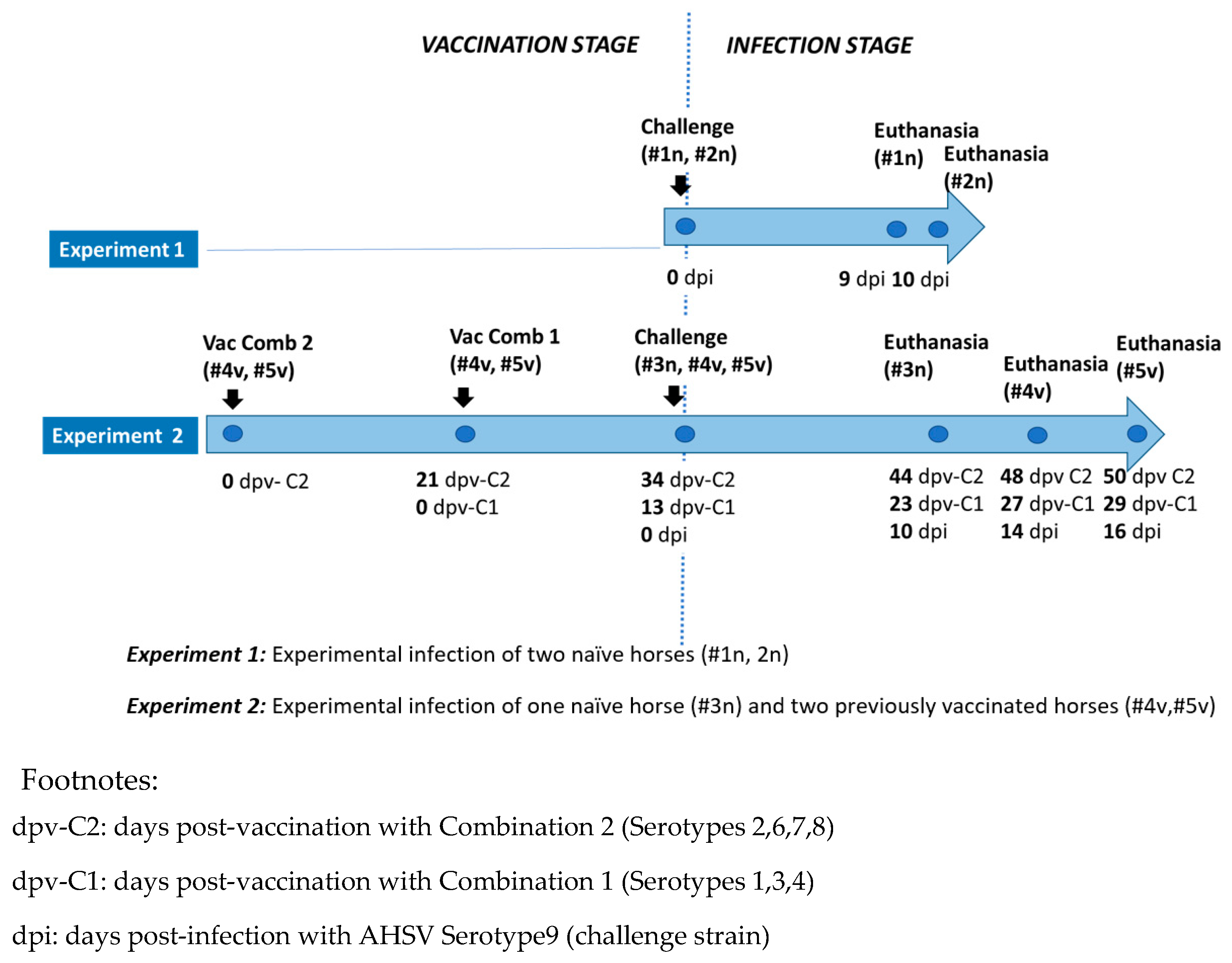 Viruses 14 01545 g001