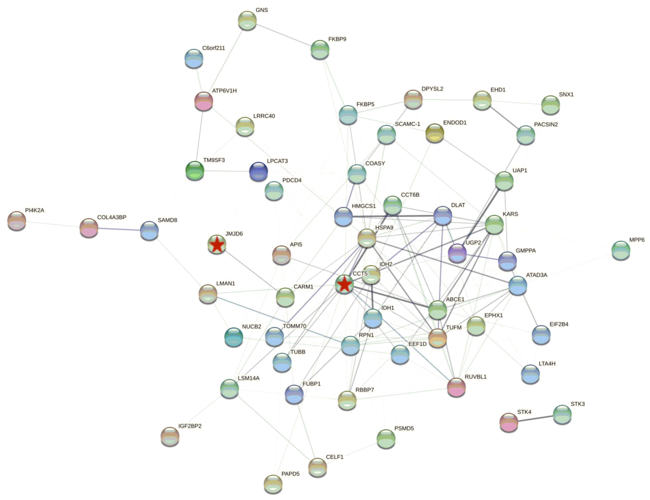 Viruses 14 01550 g002