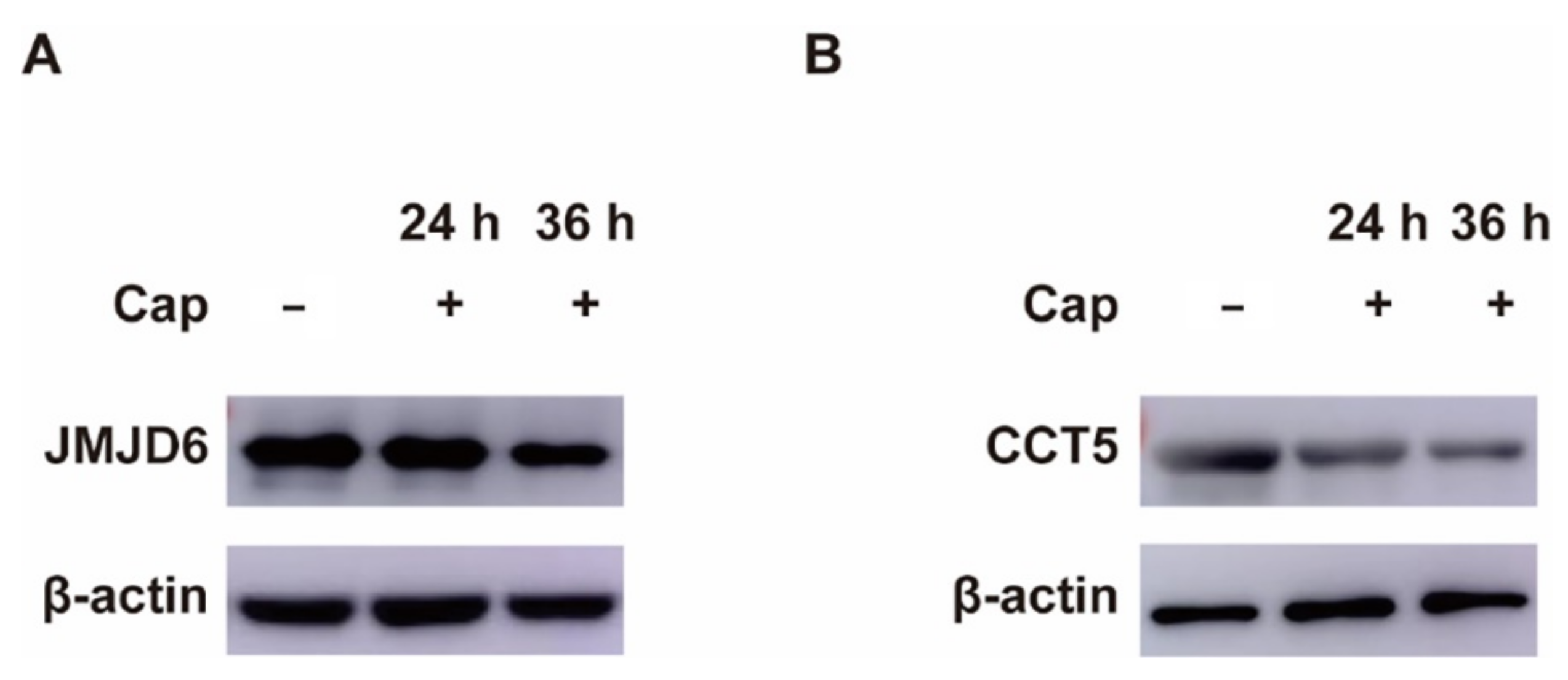 Viruses 14 01550 g004