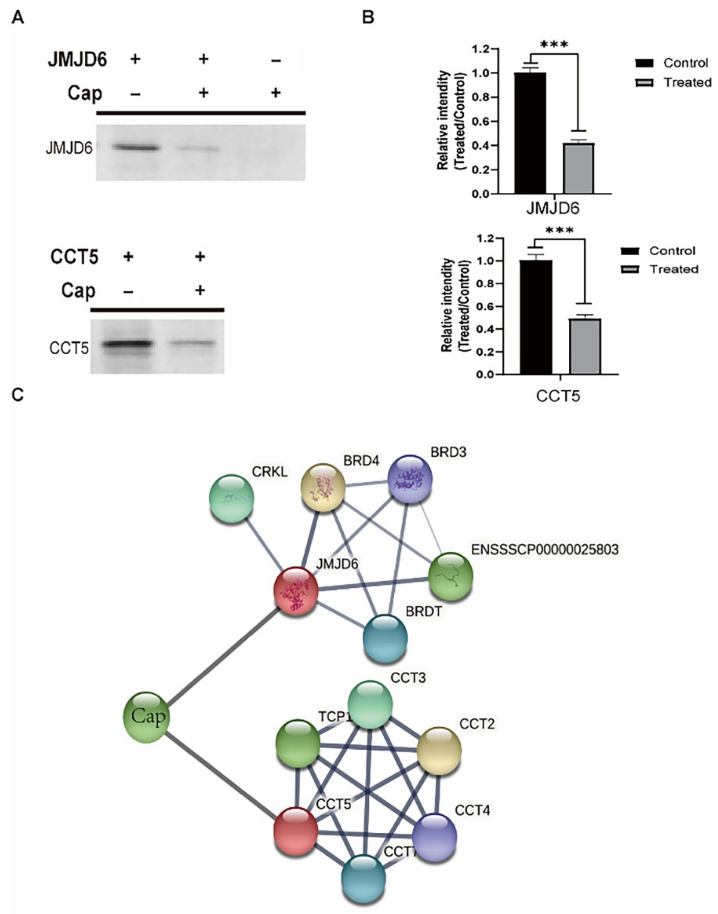 Viruses 14 01550 g006
