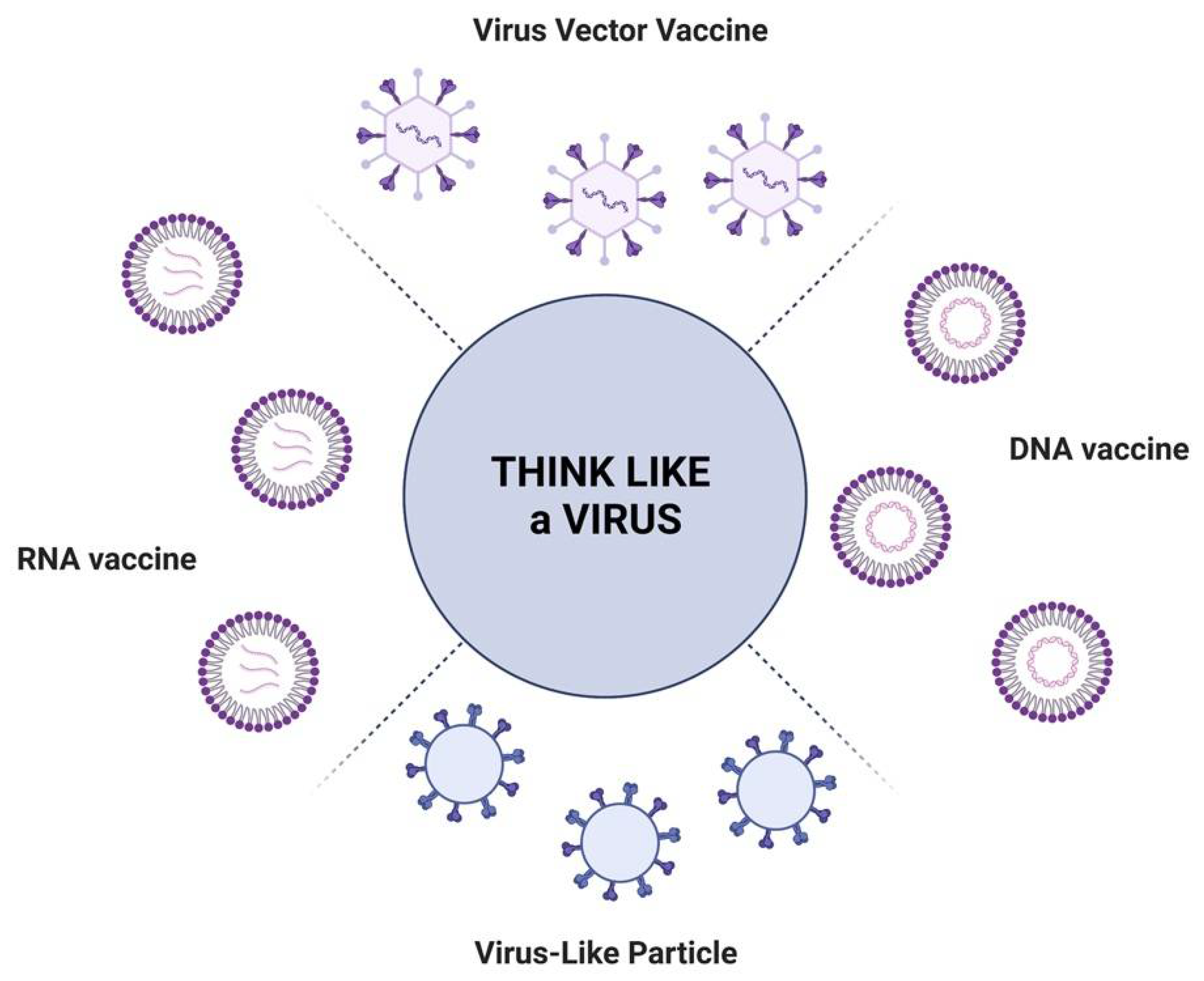 Viruses 14 01553 g002