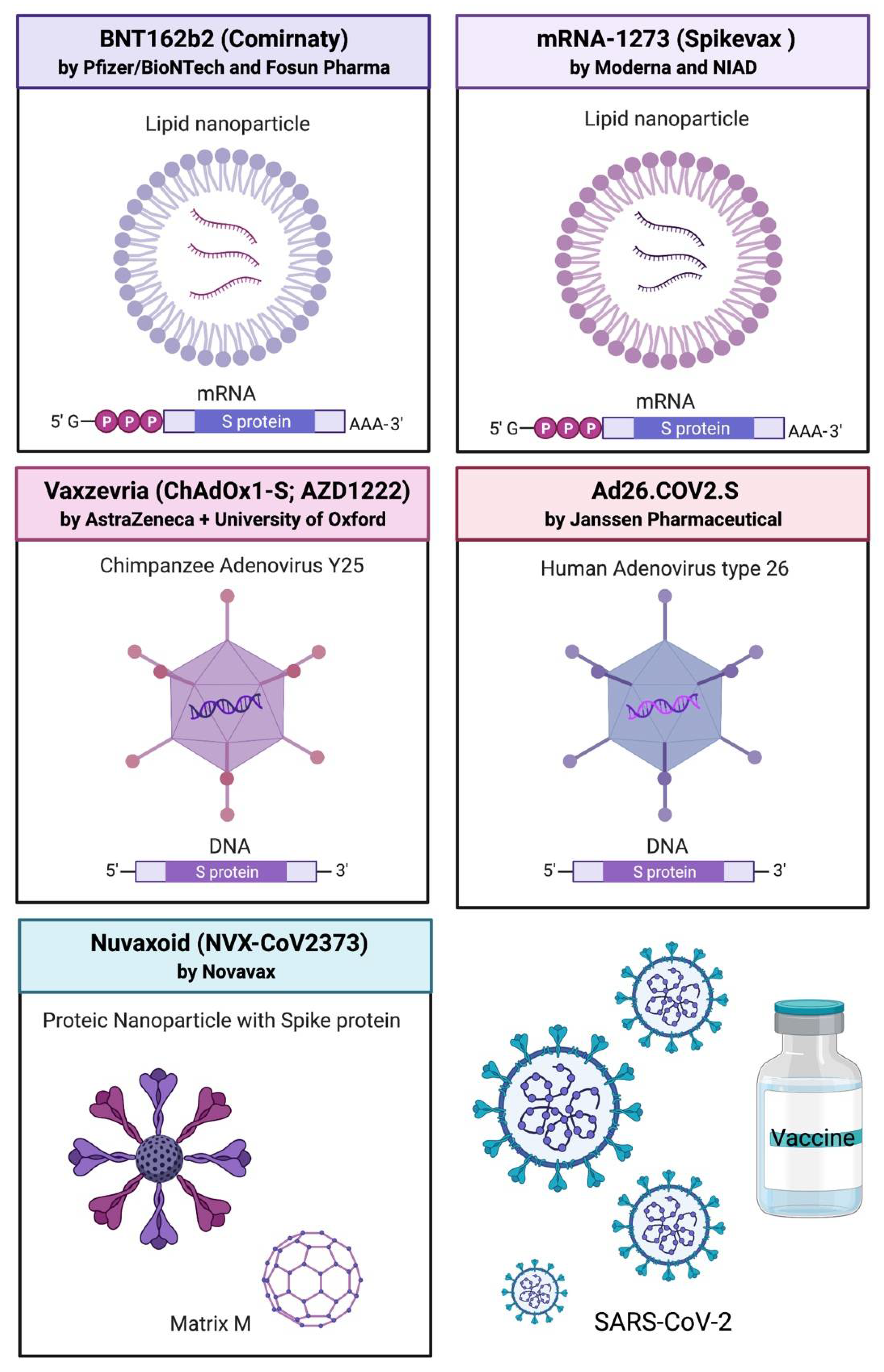 Viruses 14 01553 g004