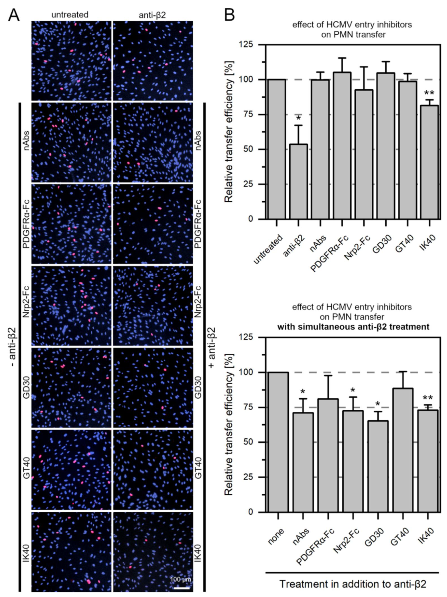 Viruses 14 01561 g010