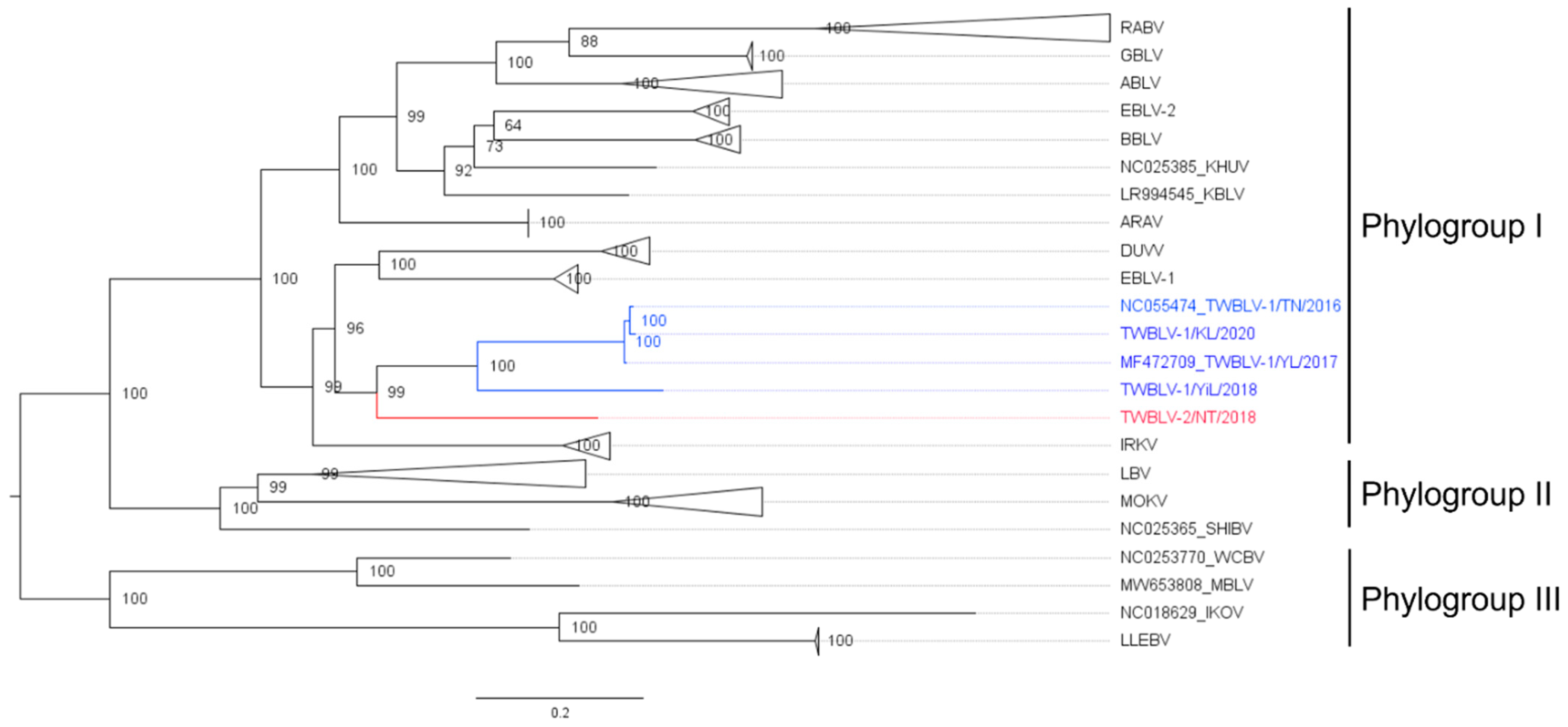 Viruses 14 01562 g001