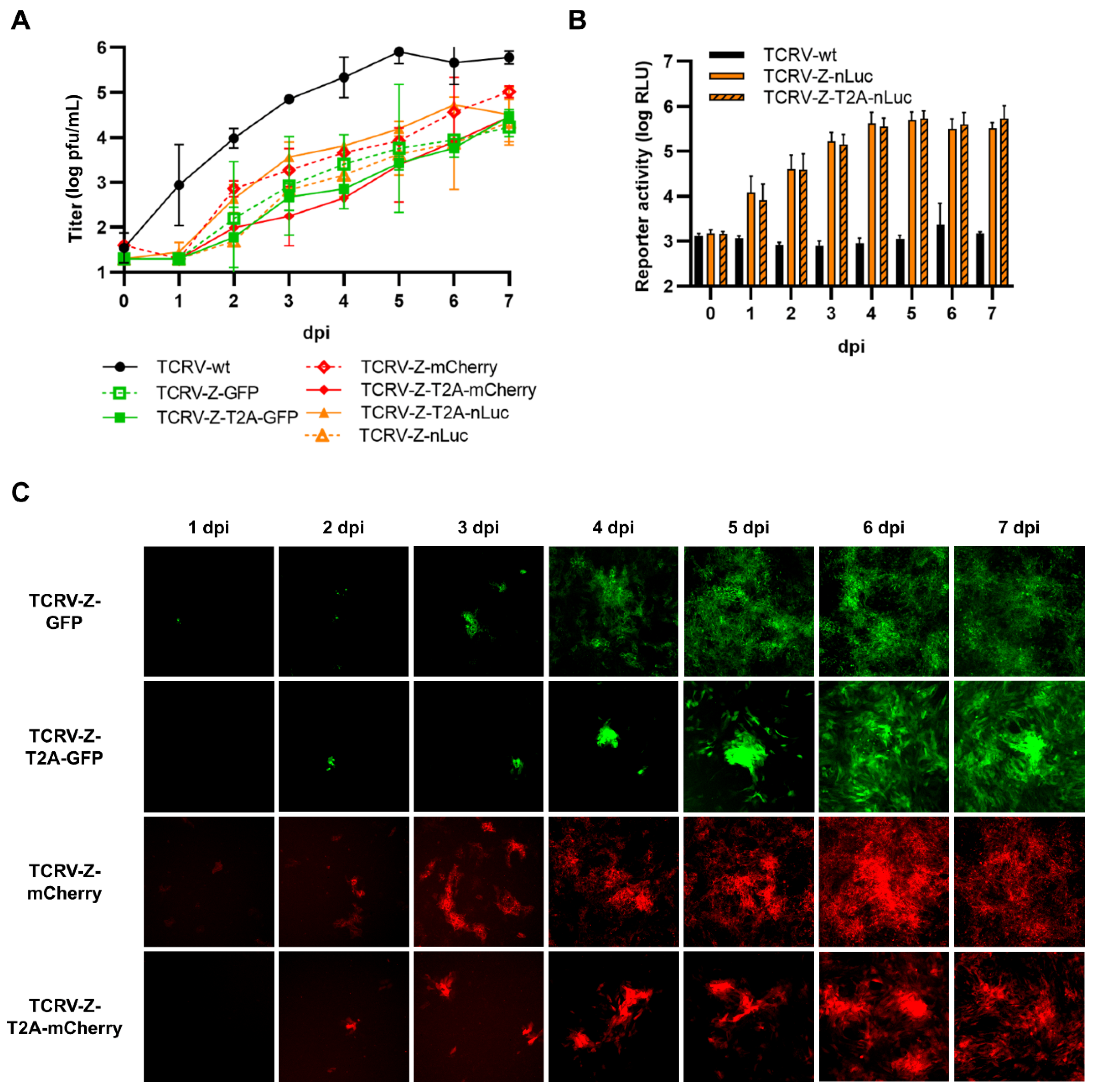 Viruses 14 01563 g007