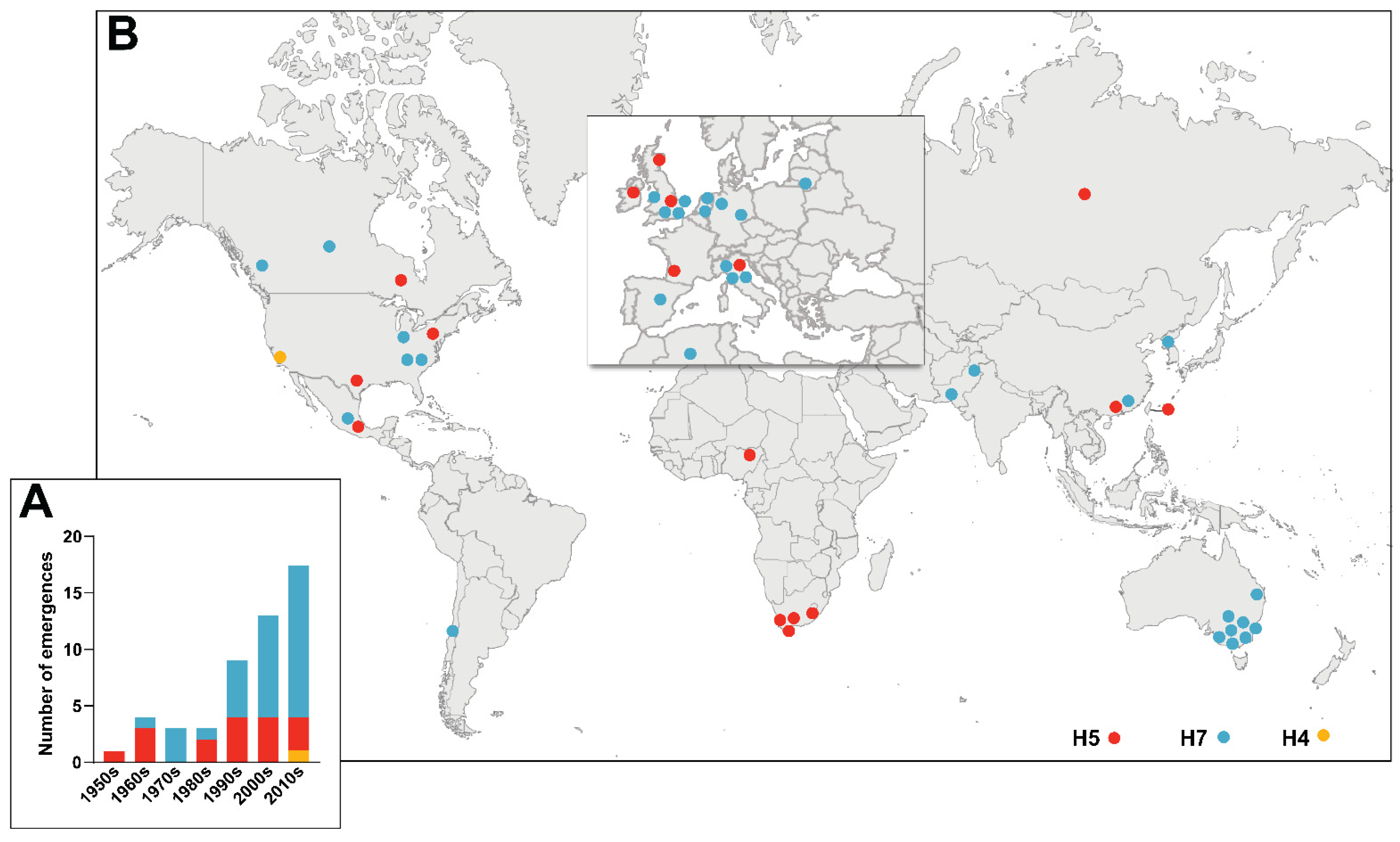 Viruses 14 01566 g001