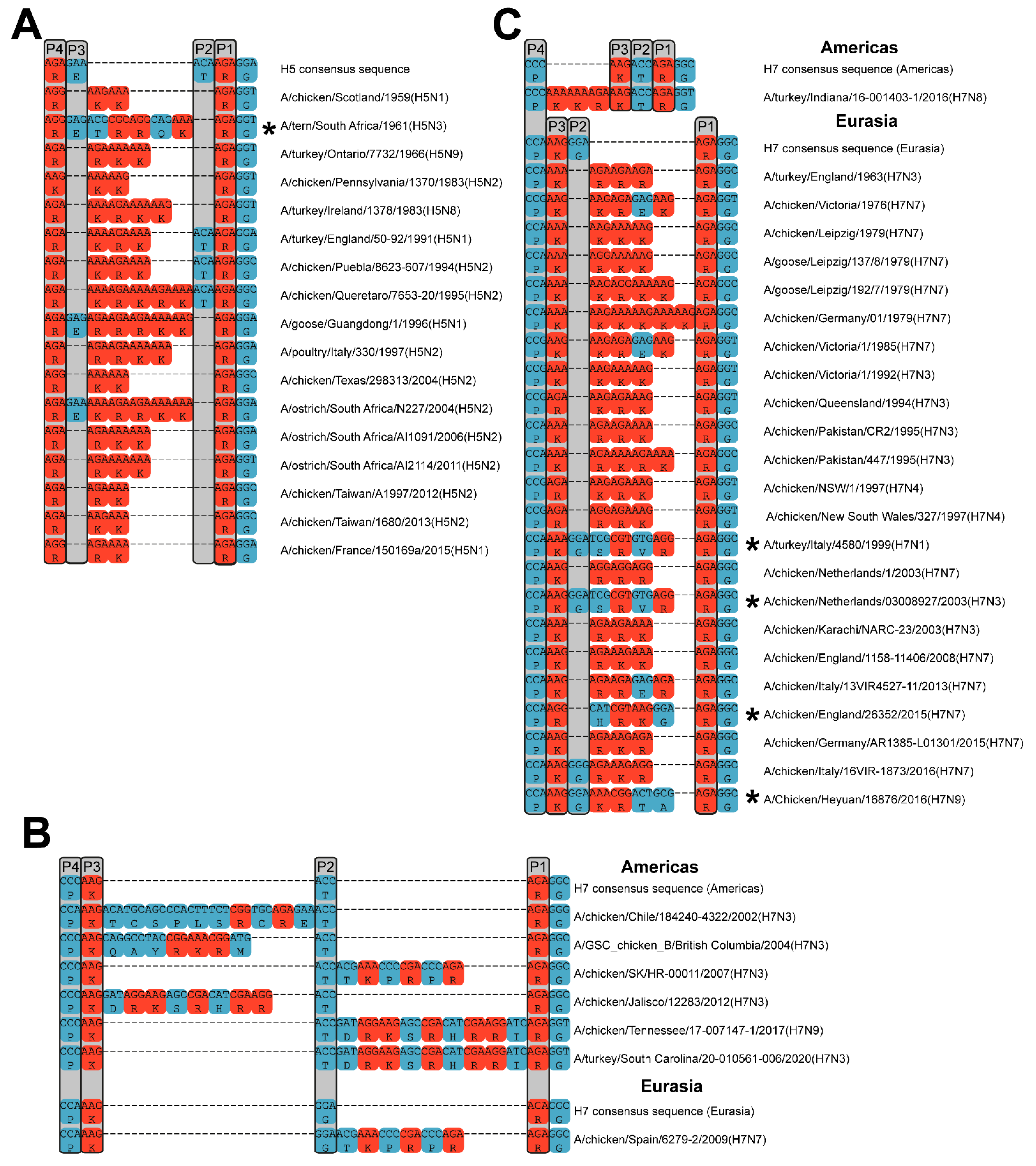 Viruses 14 01566 g003