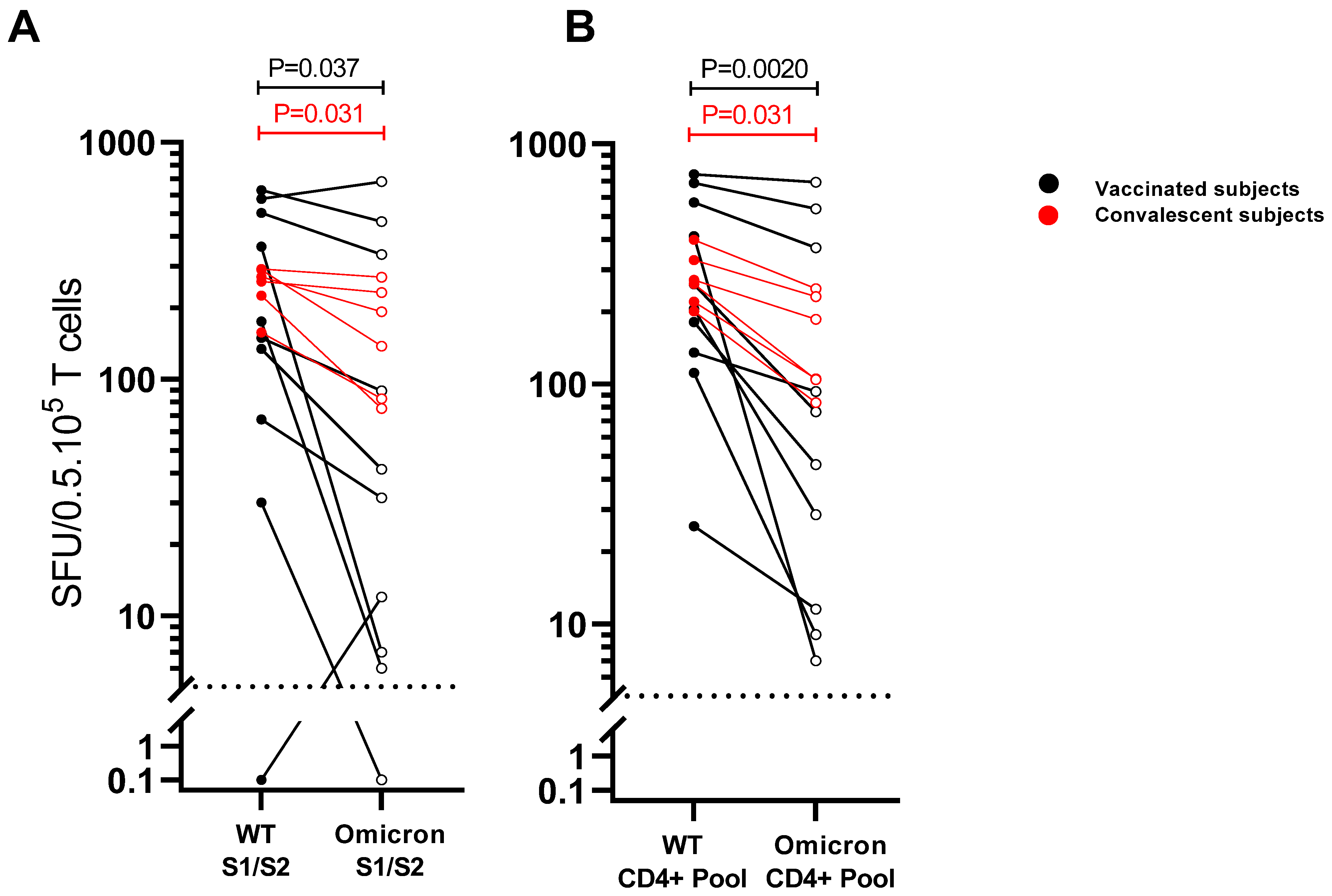 Viruses 14 01570 g003
