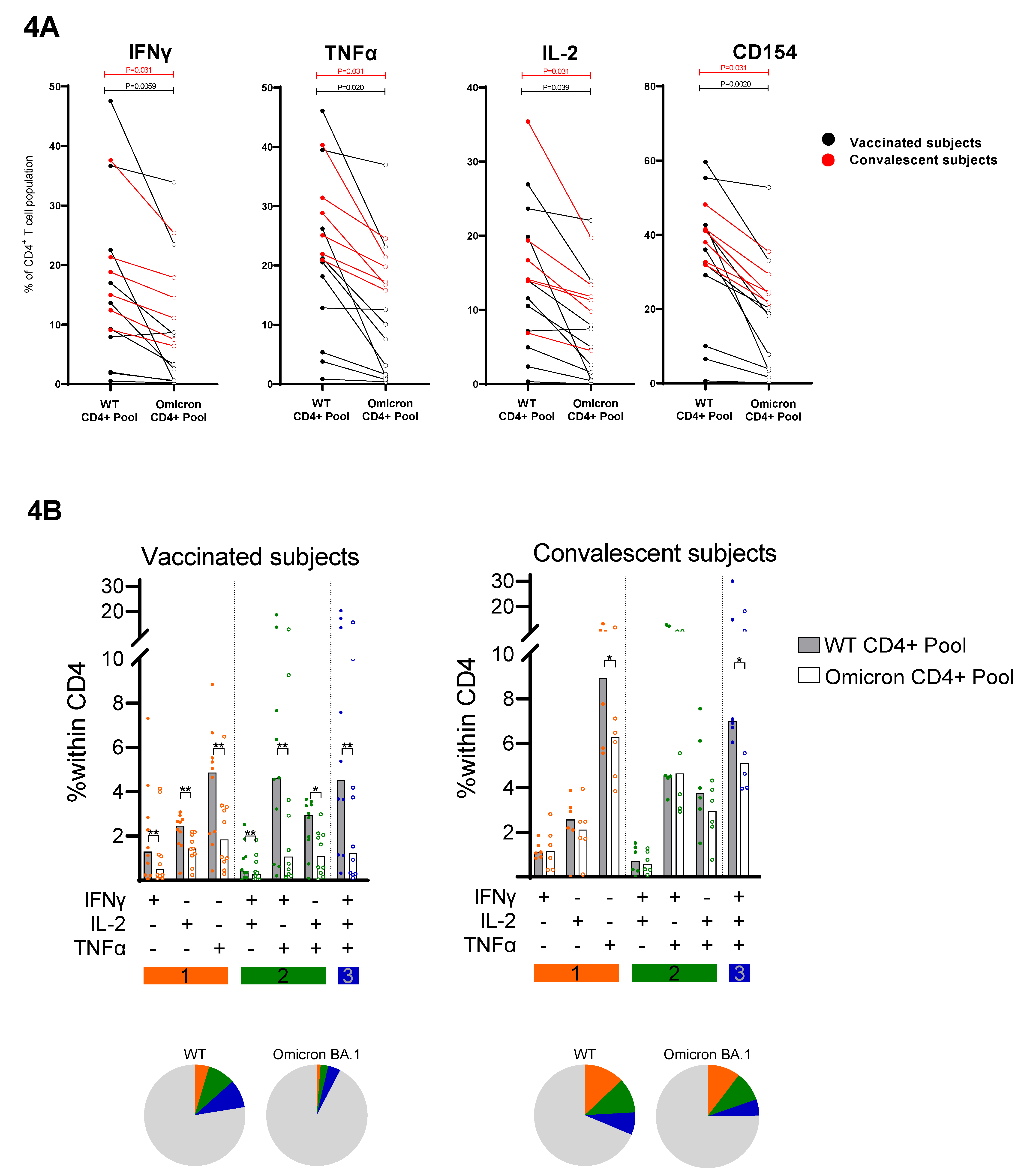 Viruses 14 01570 g004