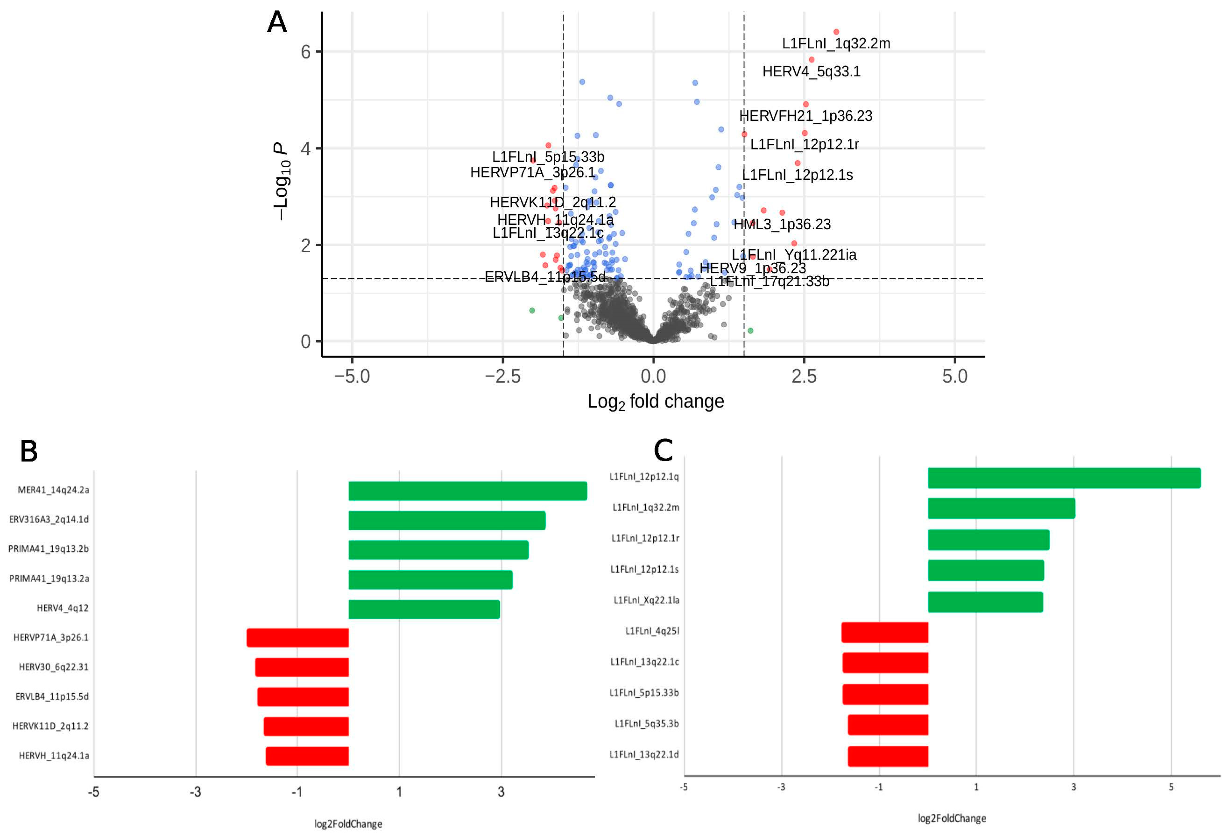 Viruses 14 01571 g001
