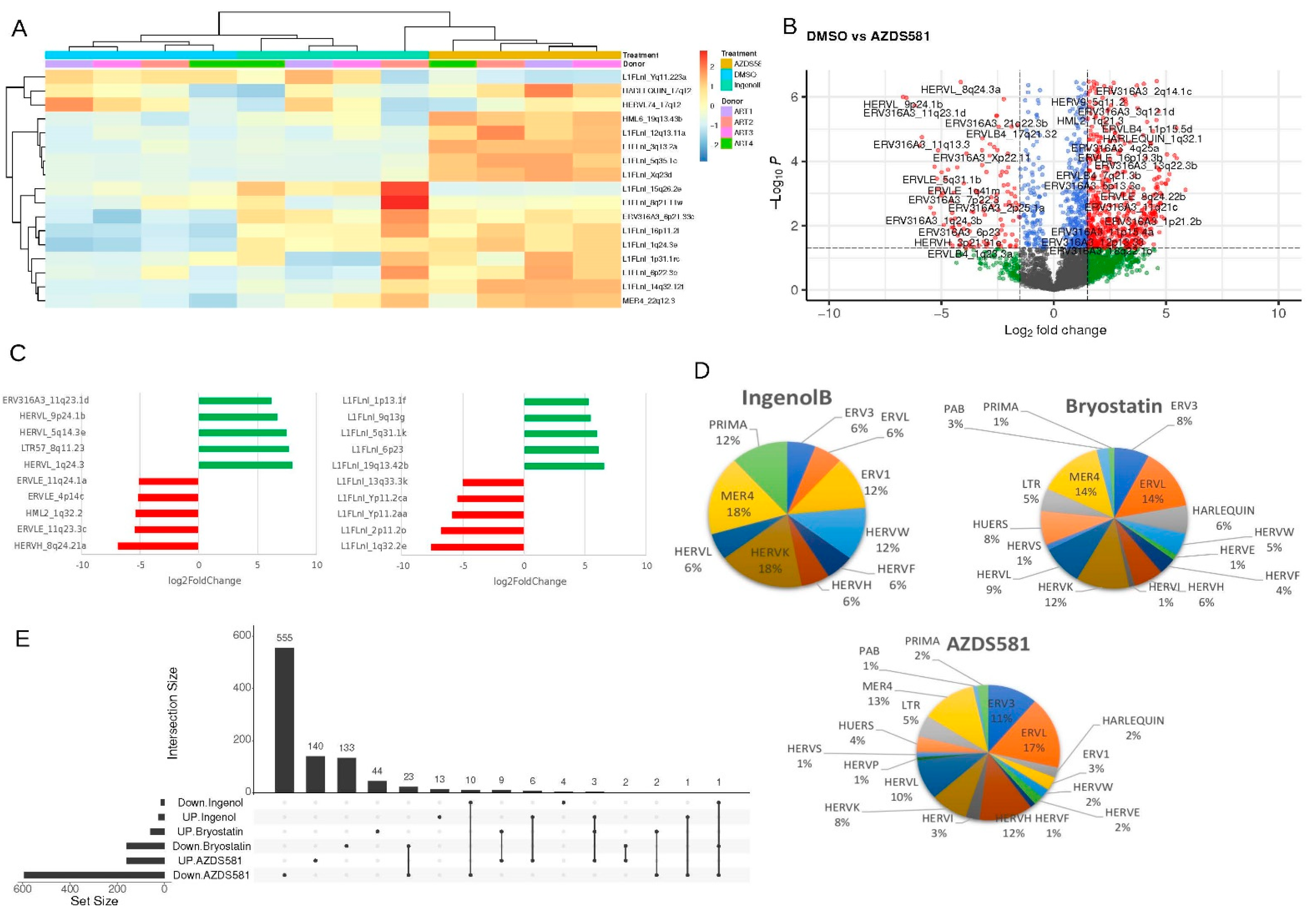Viruses 14 01571 g003