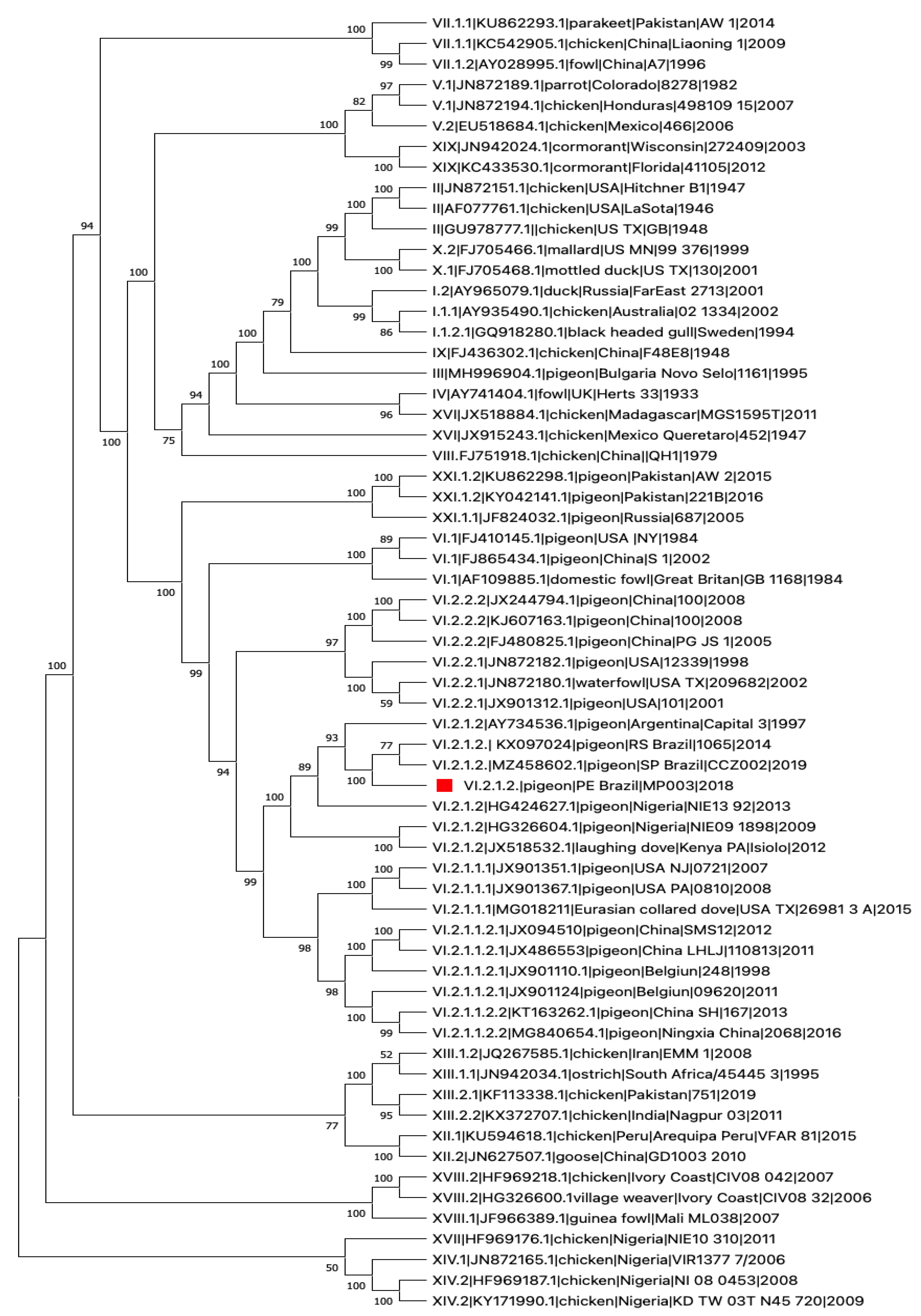 Viruses 14 01579 g002