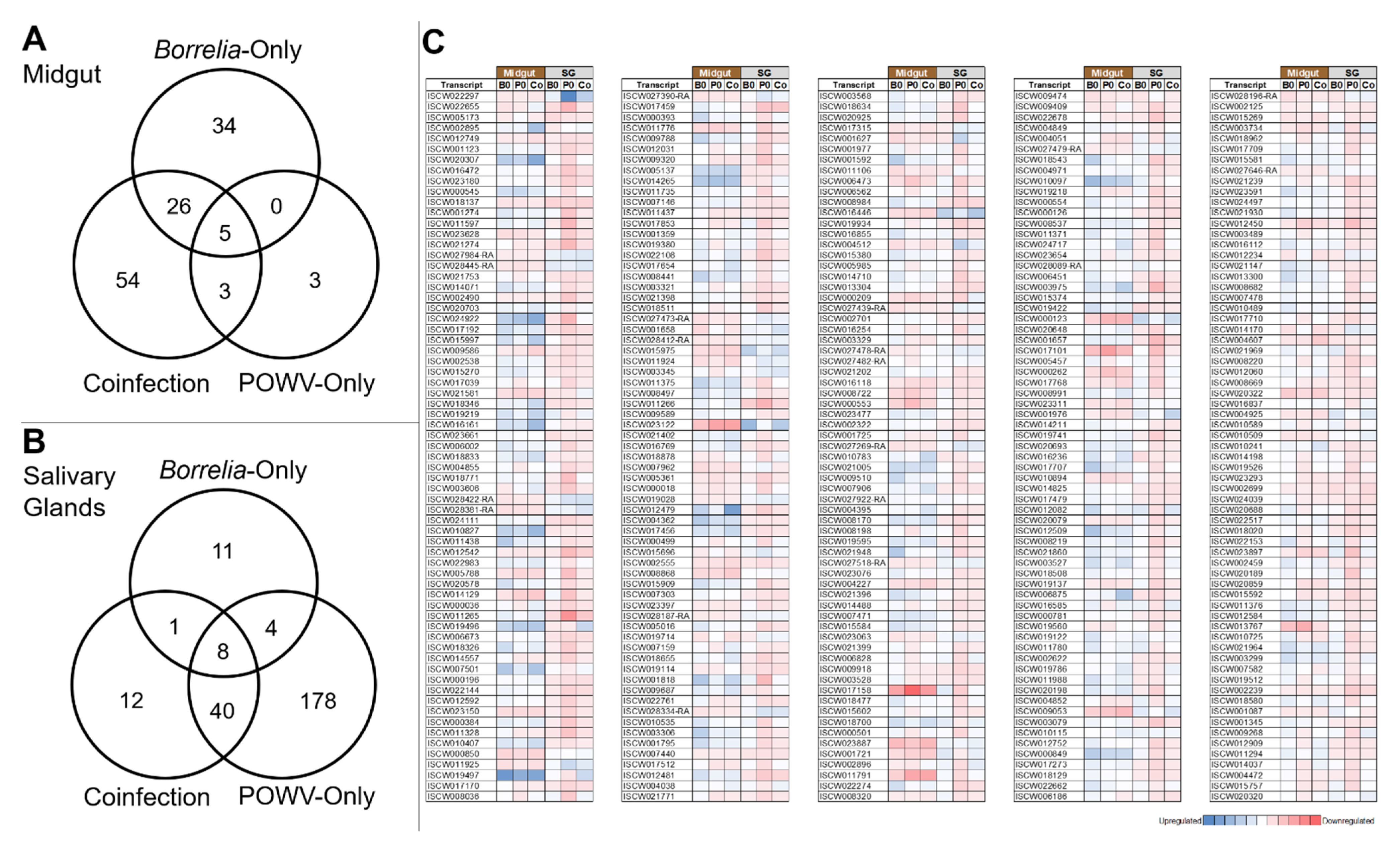 Viruses 14 01584 g002 Viruses 14 01584 g002