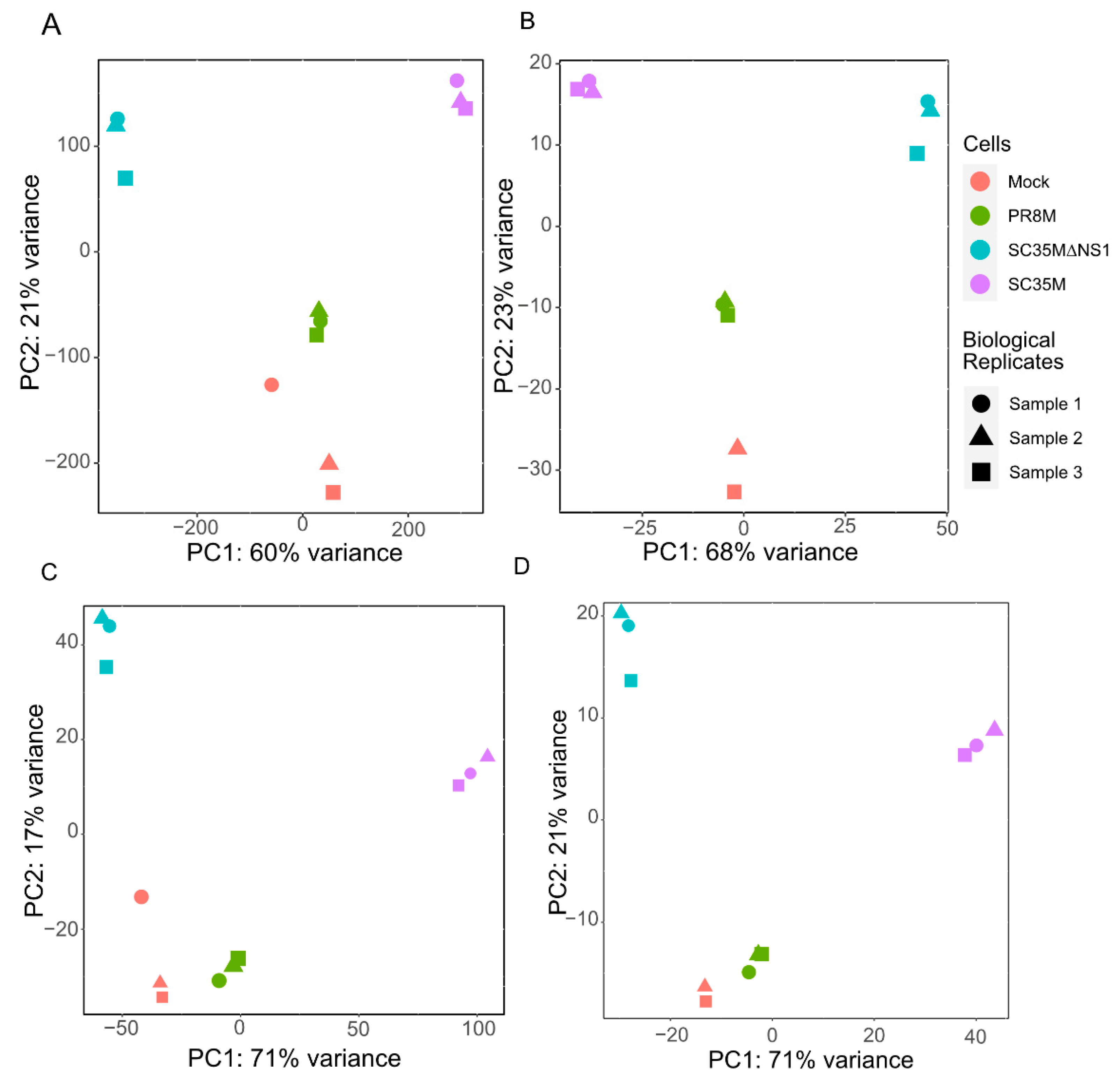Viruses 14 01591 g001