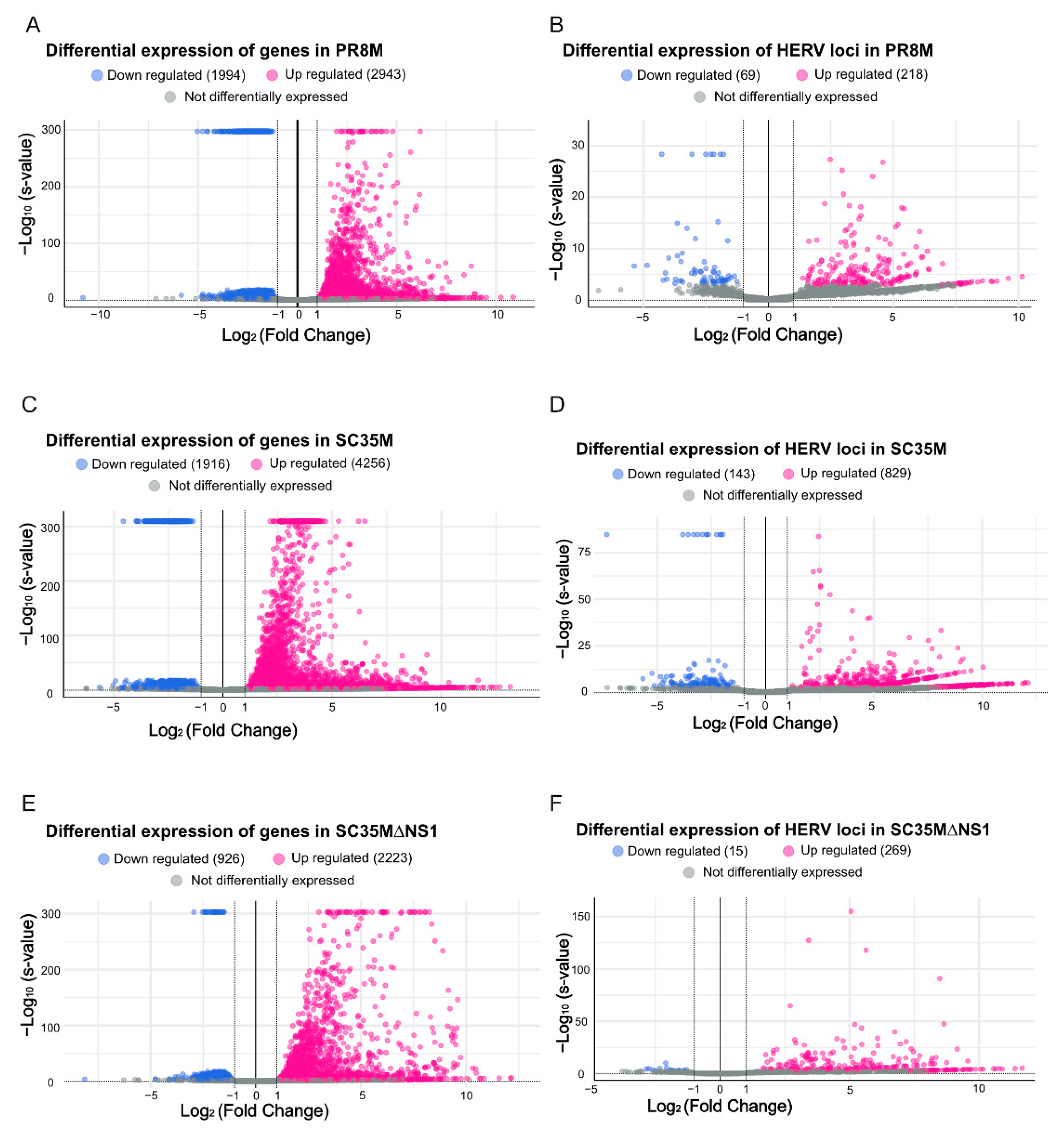 Viruses 14 01591 g002