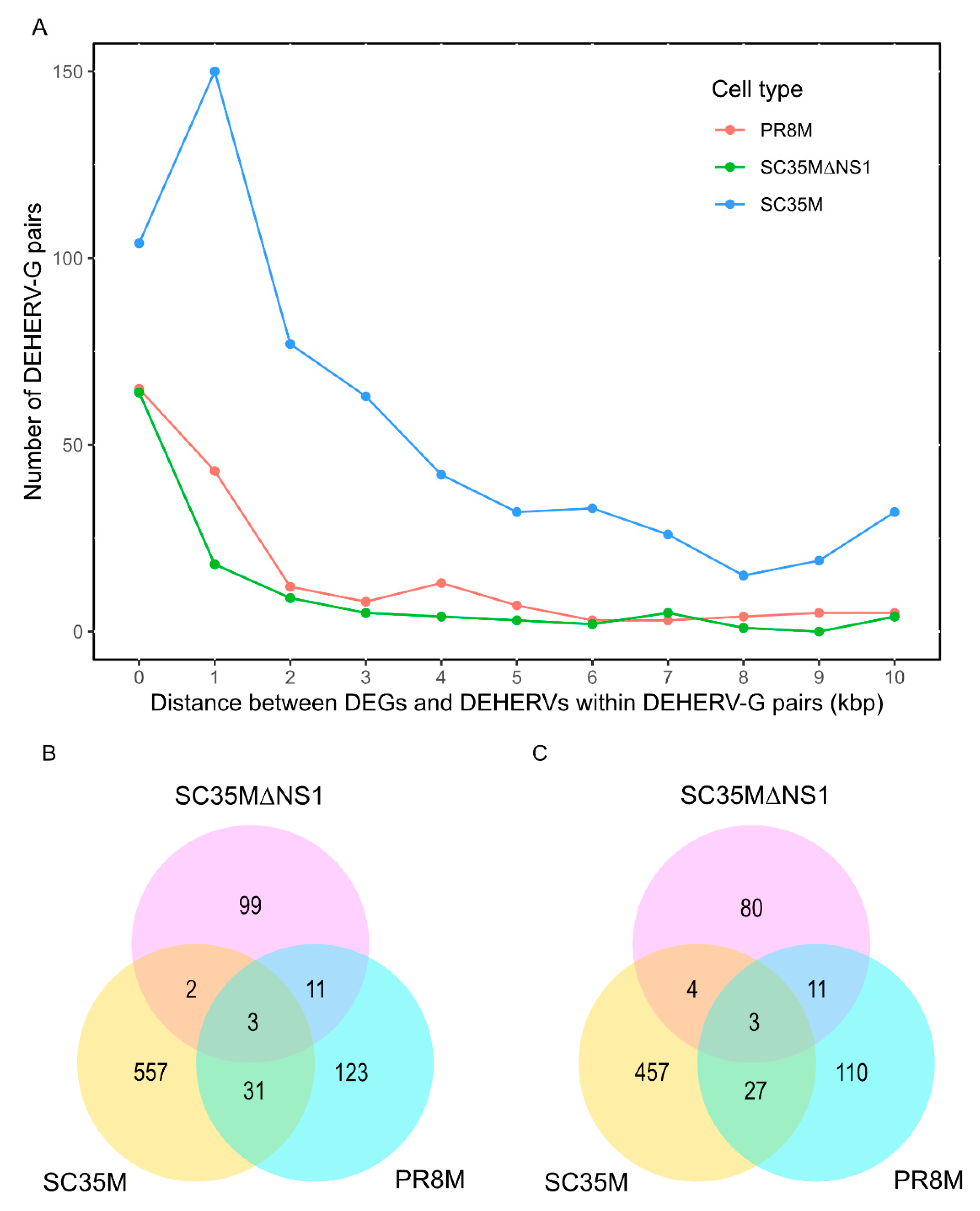 Viruses 14 01591 g004