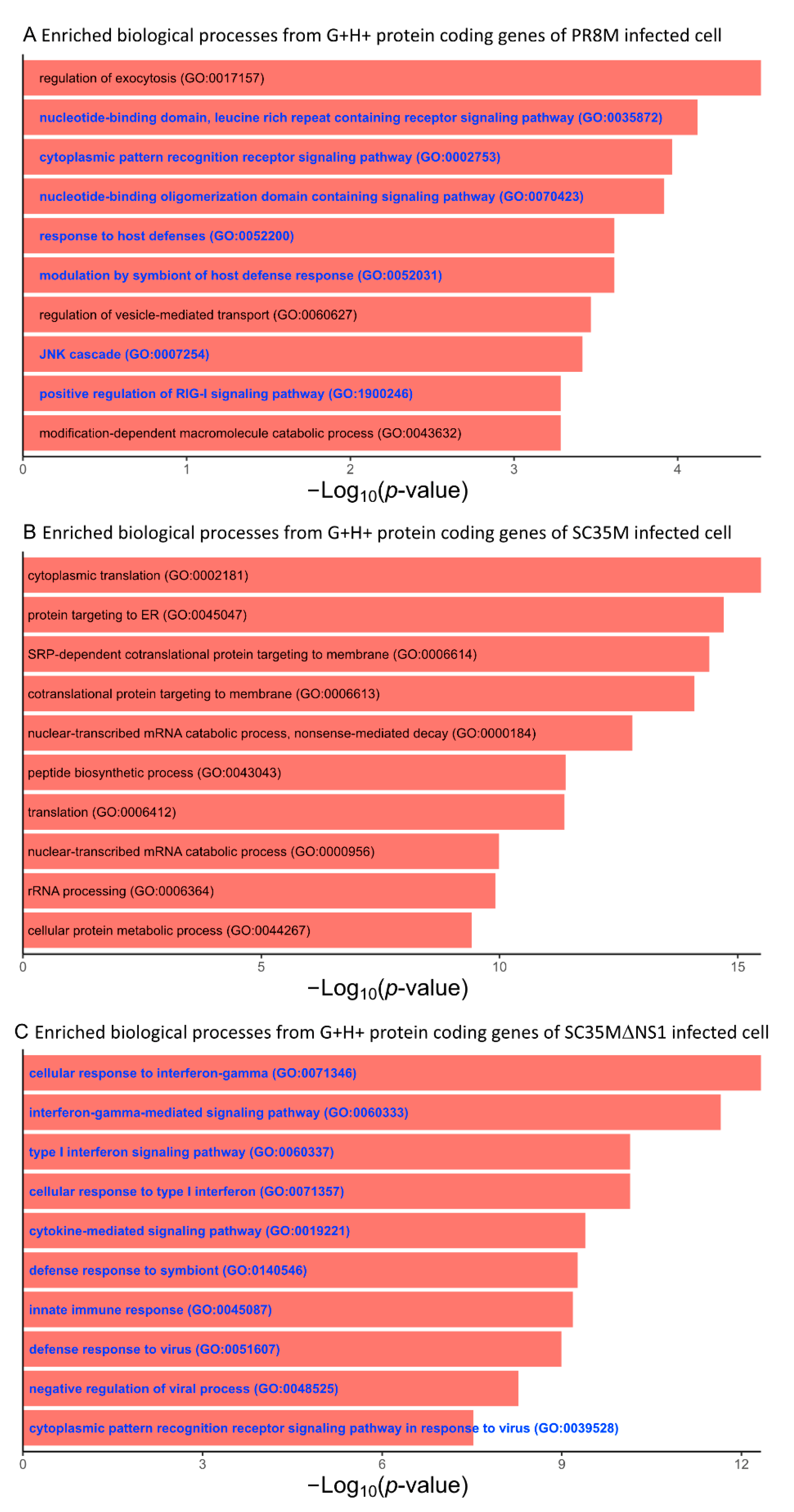 Viruses 14 01591 g005