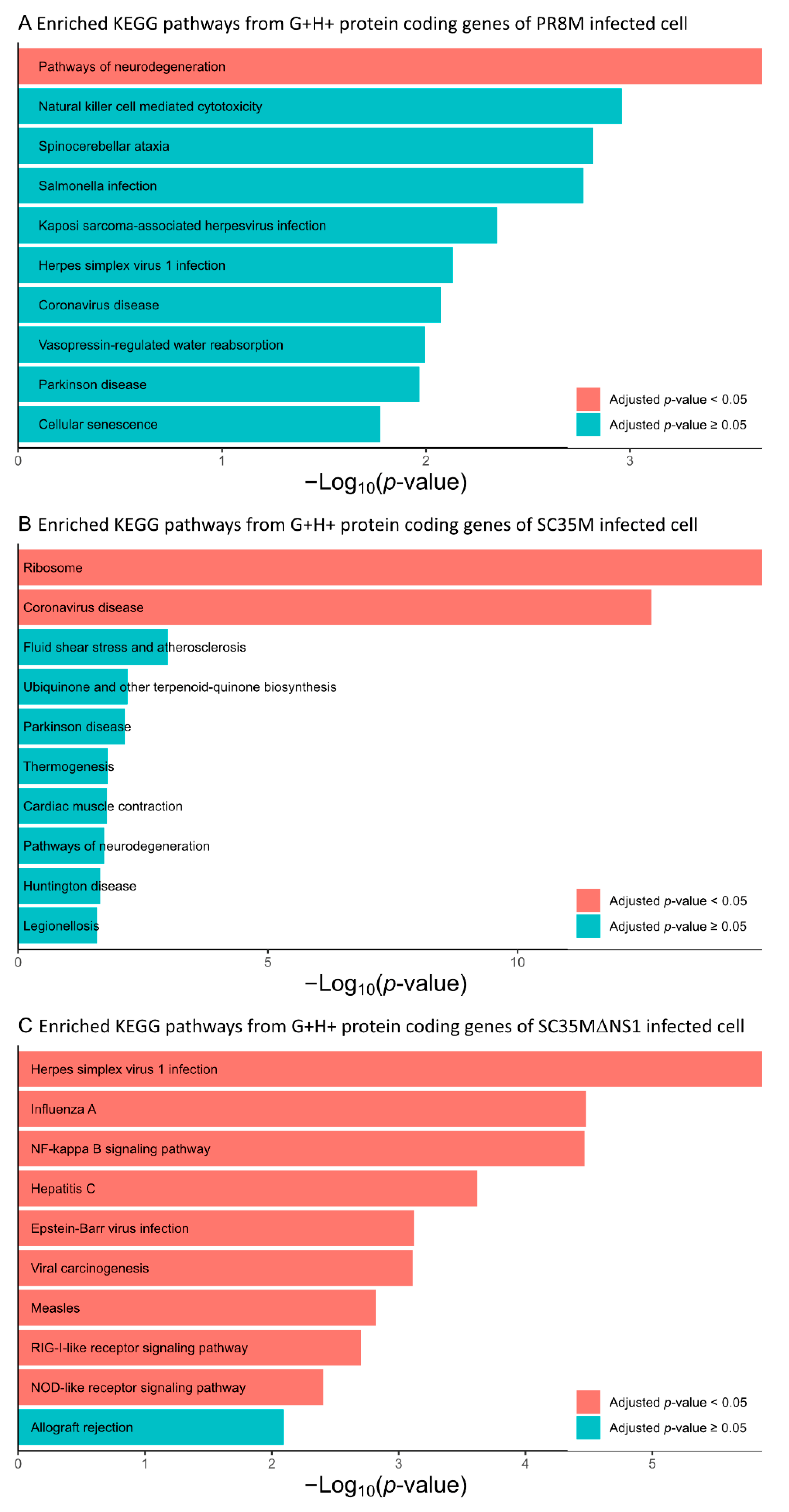 Viruses 14 01591 g006