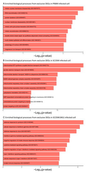 Viruses 14 01591 g0a3 550