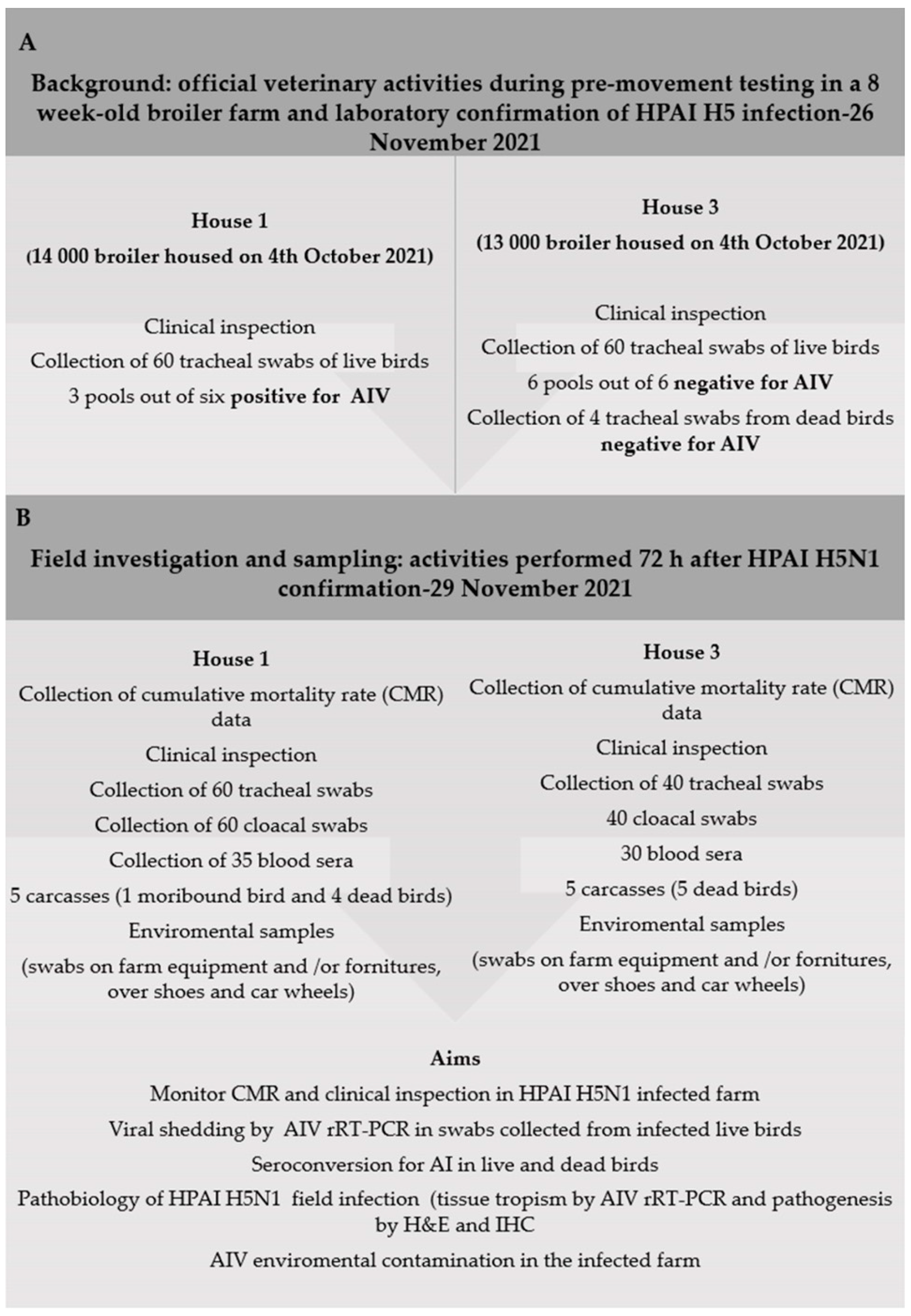 Viruses 14 01600 g001