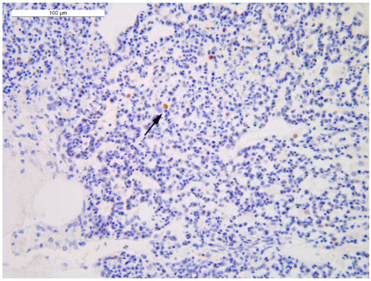 Viruses 14 01600 g007