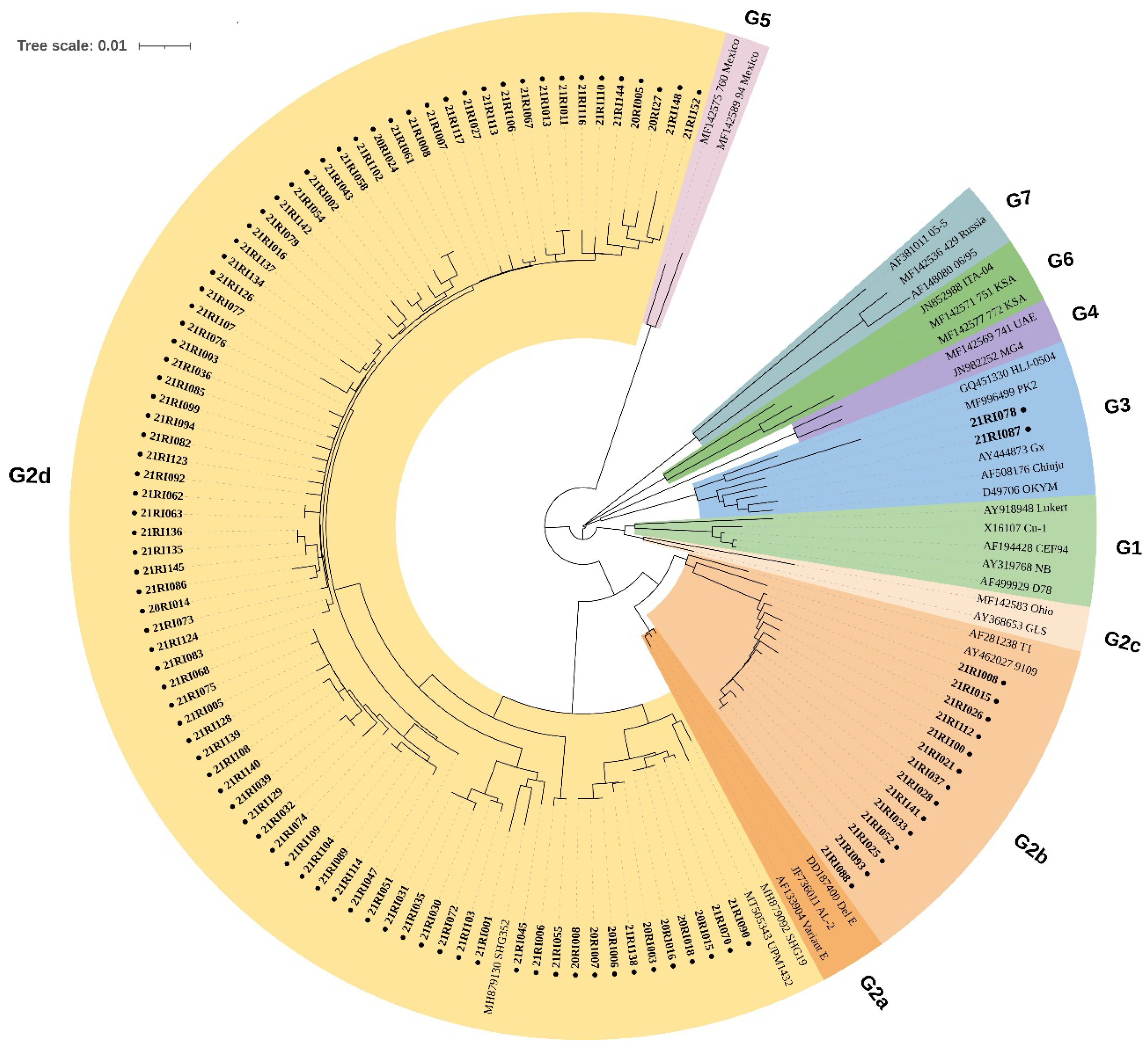 Viruses 14 01604 g001 Viruses 14 01604 g001