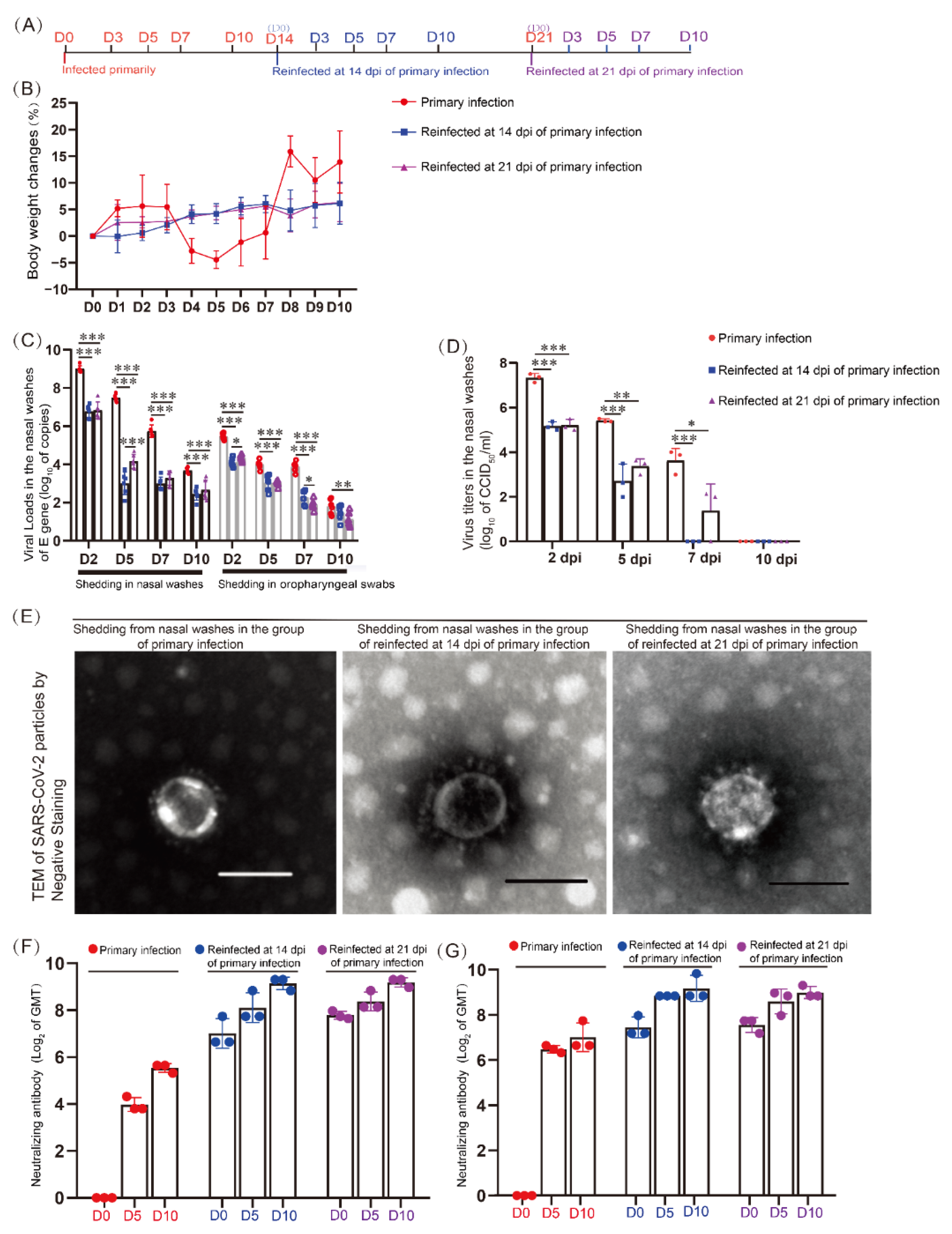Viruses 14 01608 g001