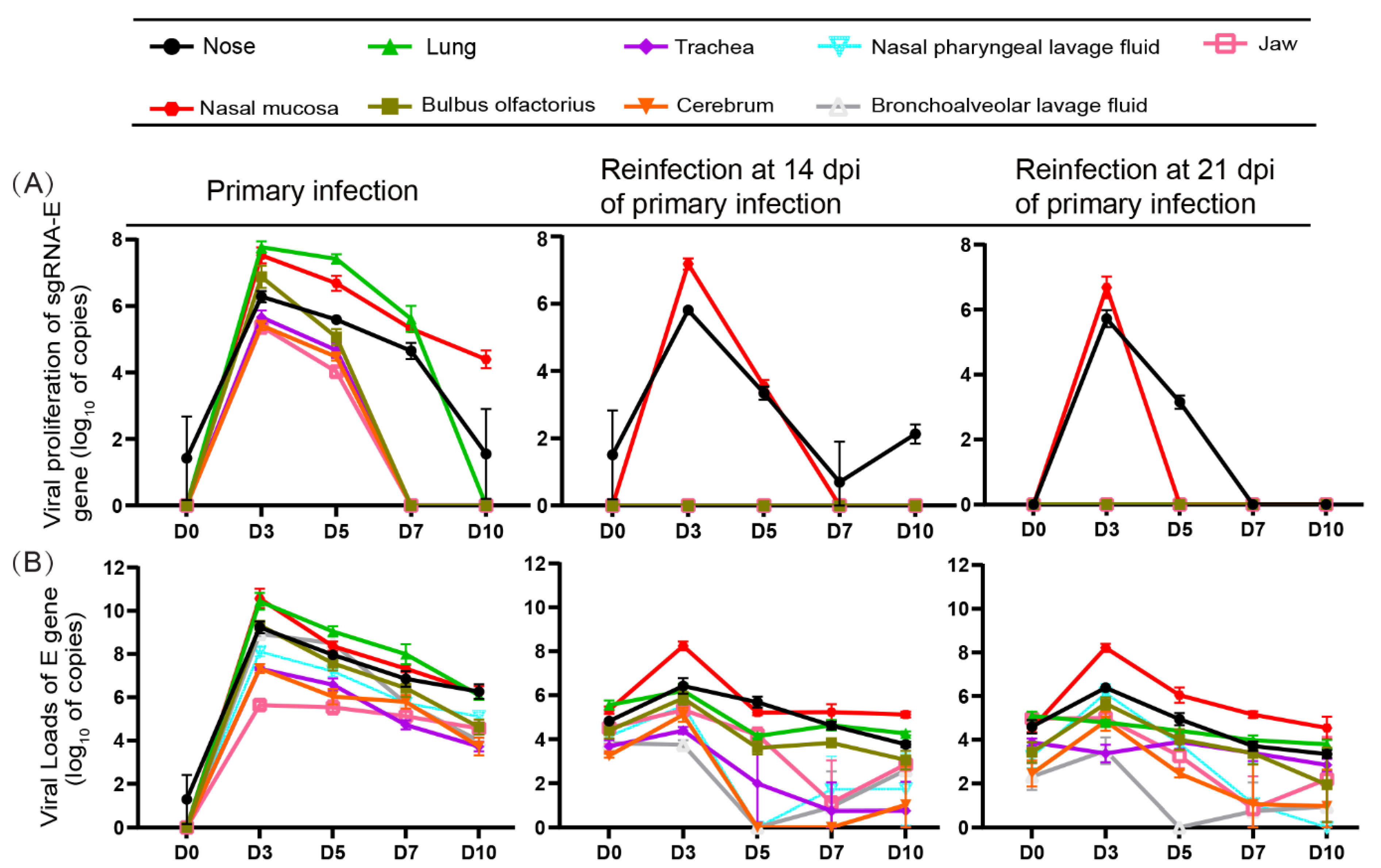 Viruses 14 01608 g002
