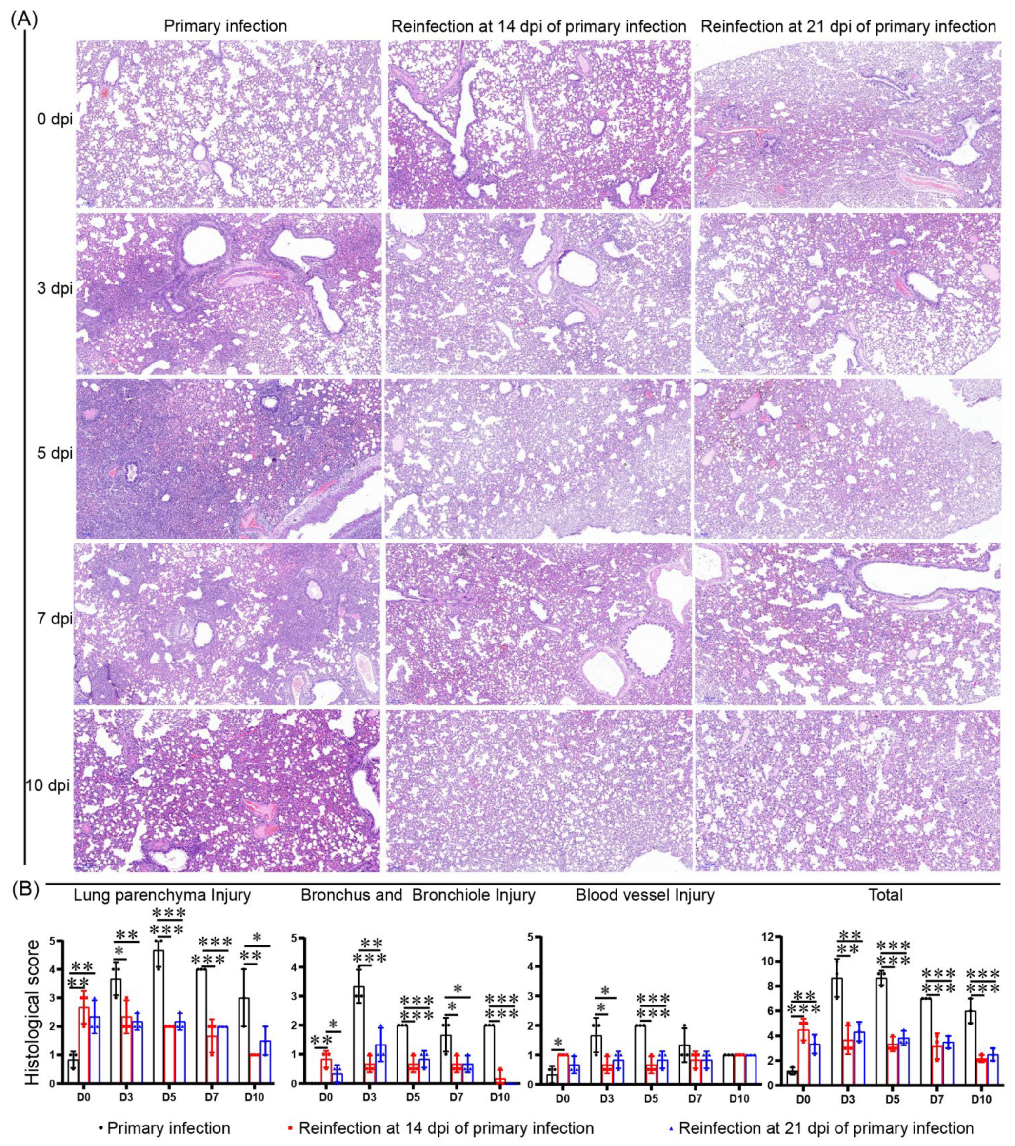 Viruses 14 01608 g007
