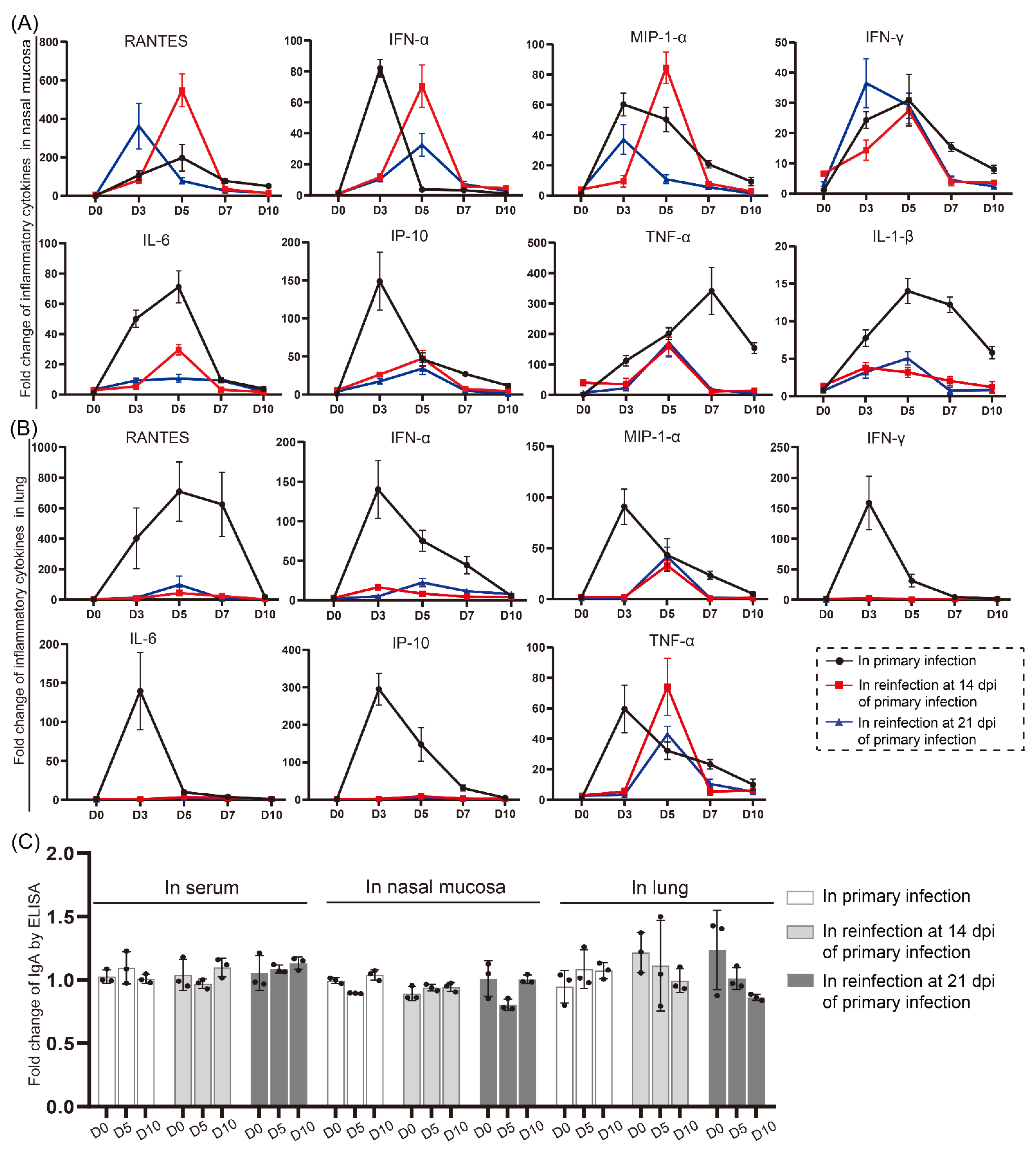 Viruses 14 01608 g008