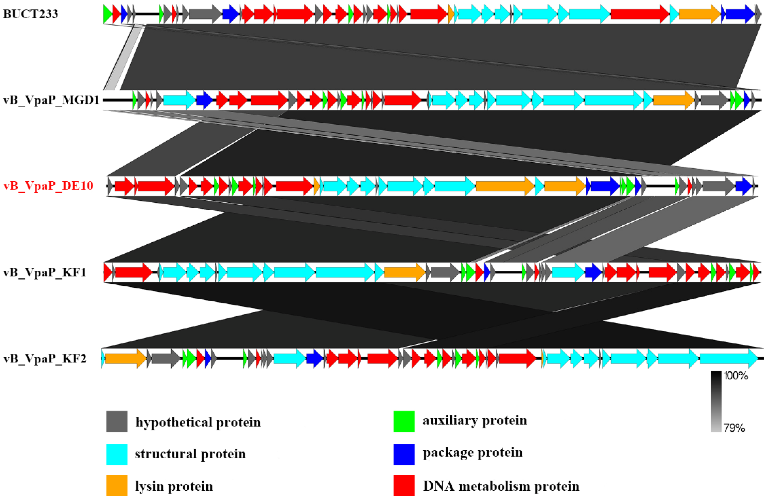 Viruses 14 01609 g005