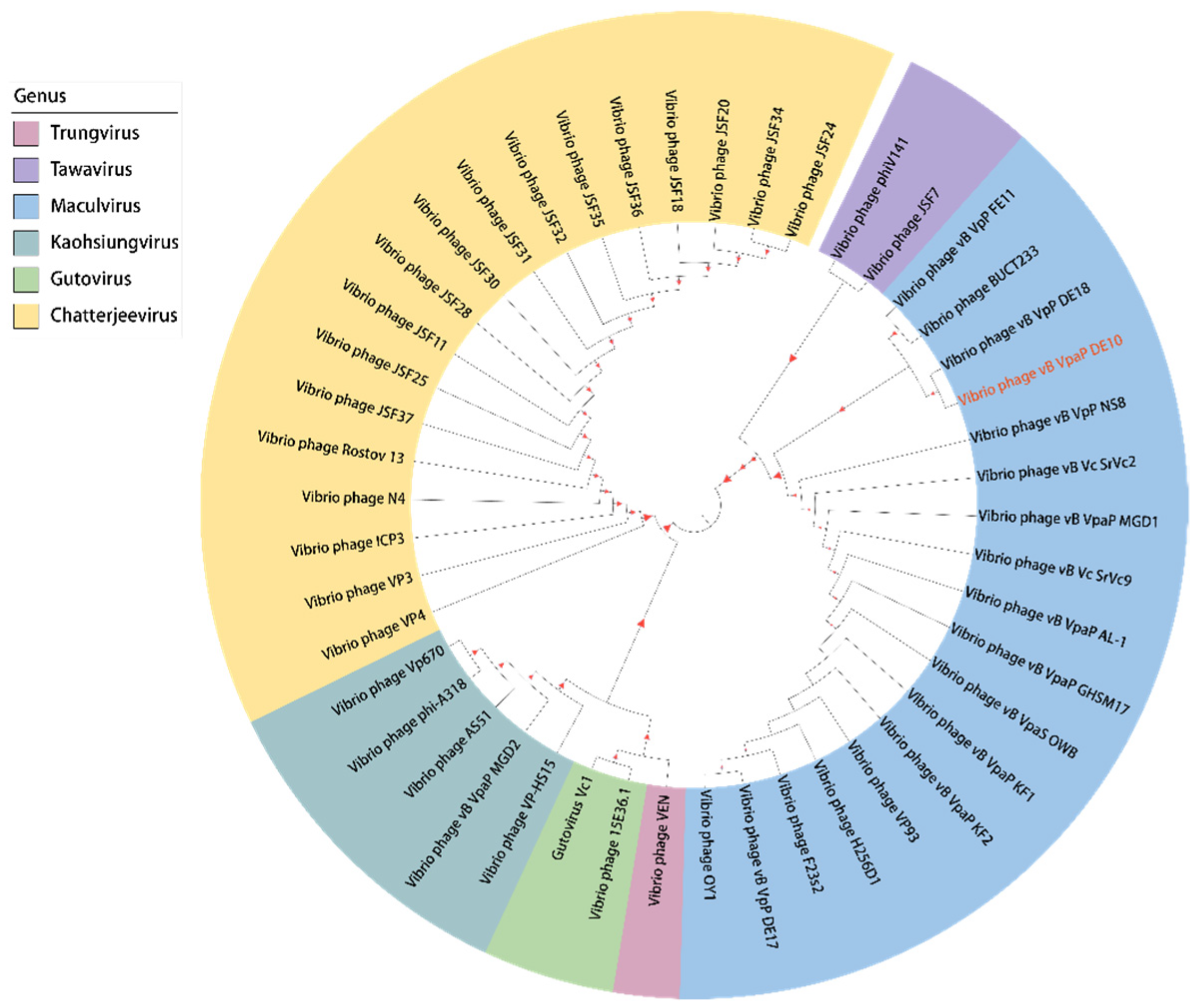 Viruses 14 01609 g008