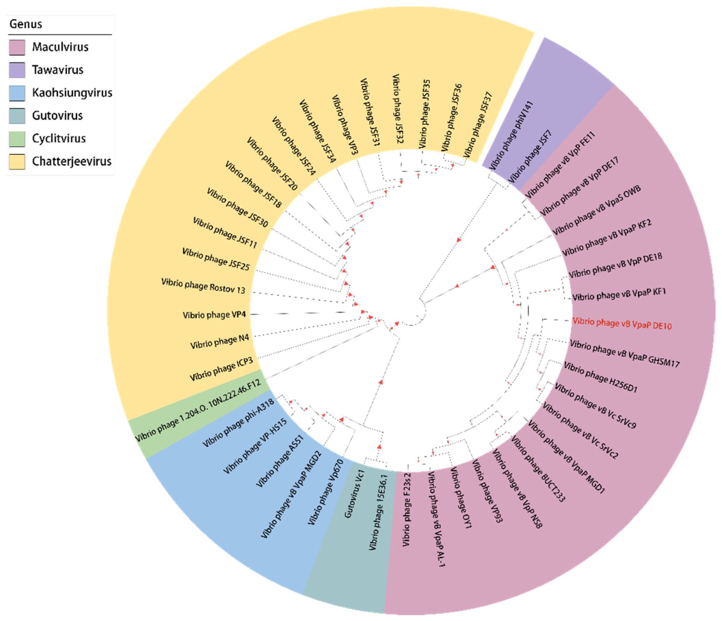 Viruses 14 01609 g009