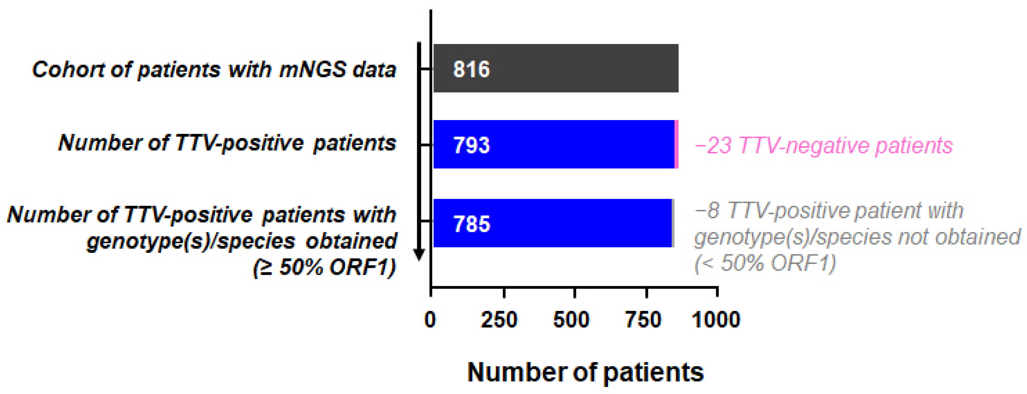 Viruses 14 01612 g001
