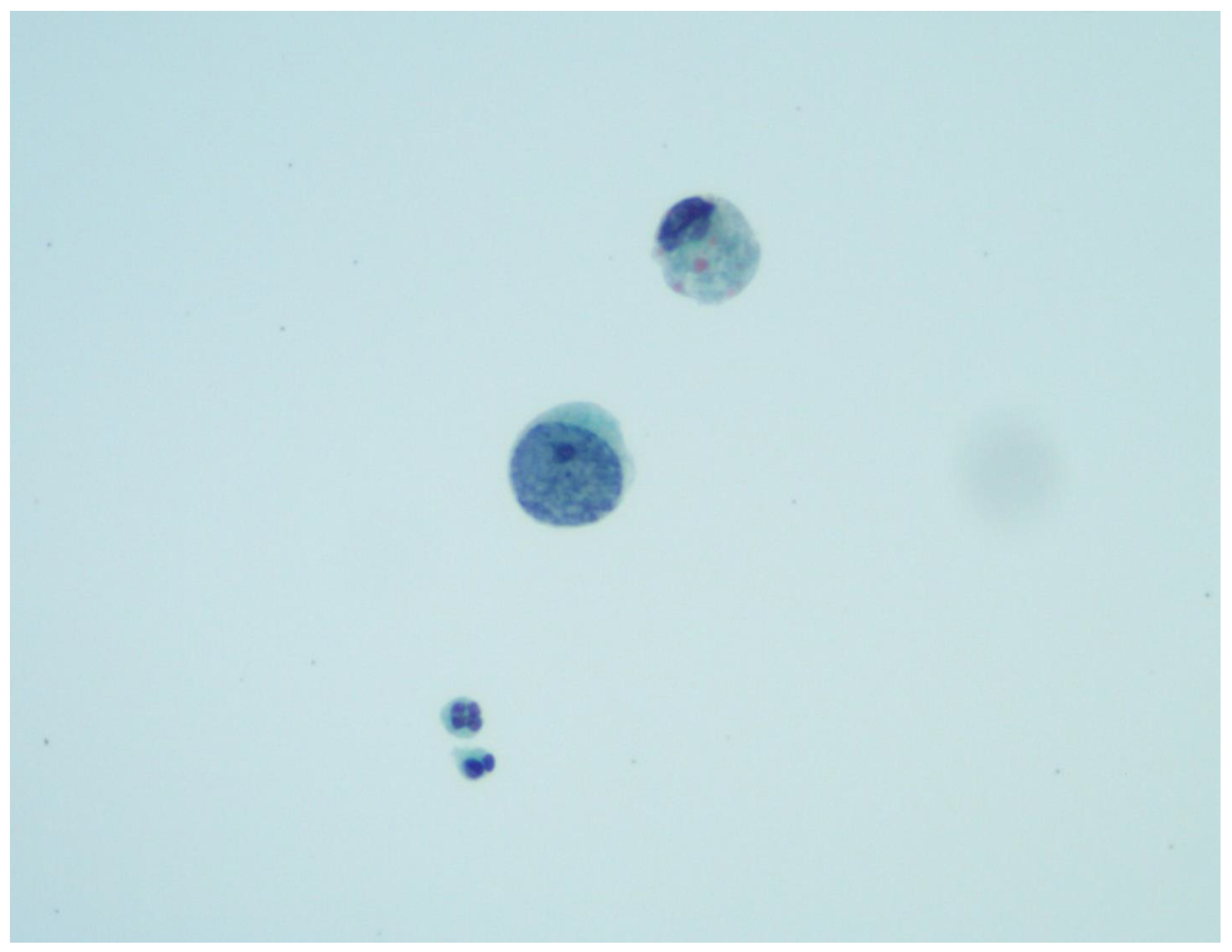 Viruses 14 01616 g001