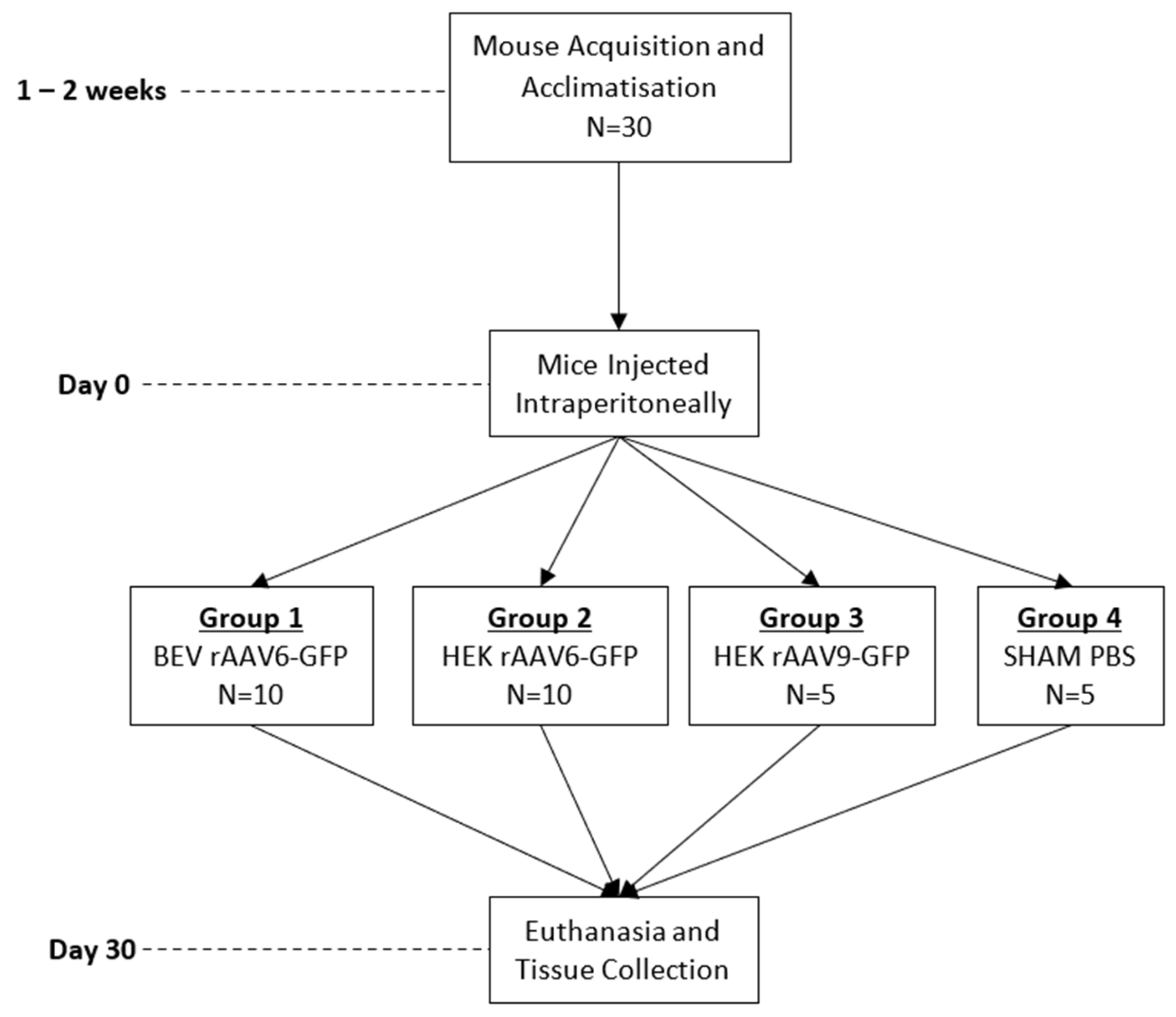 Viruses 14 01623 g001