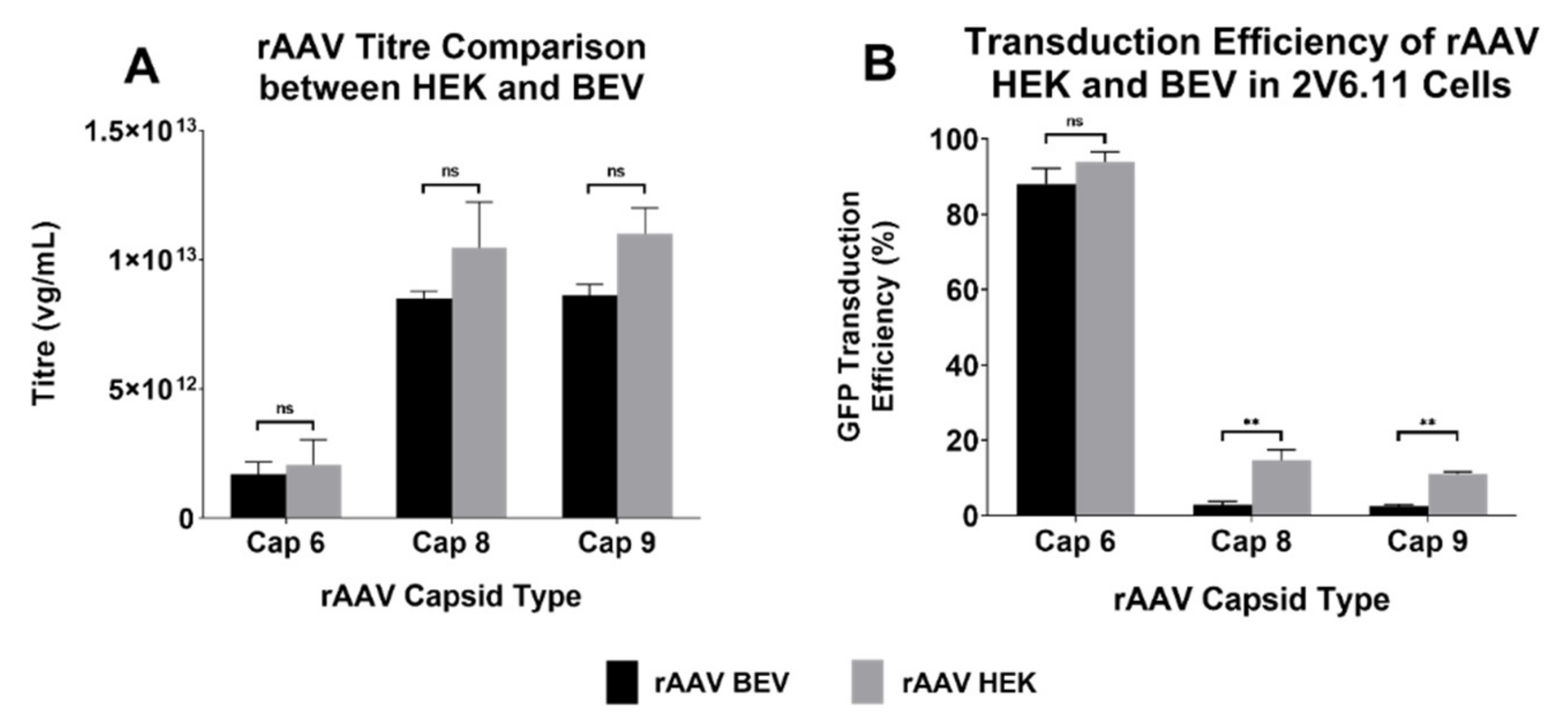 Viruses 14 01623 g002