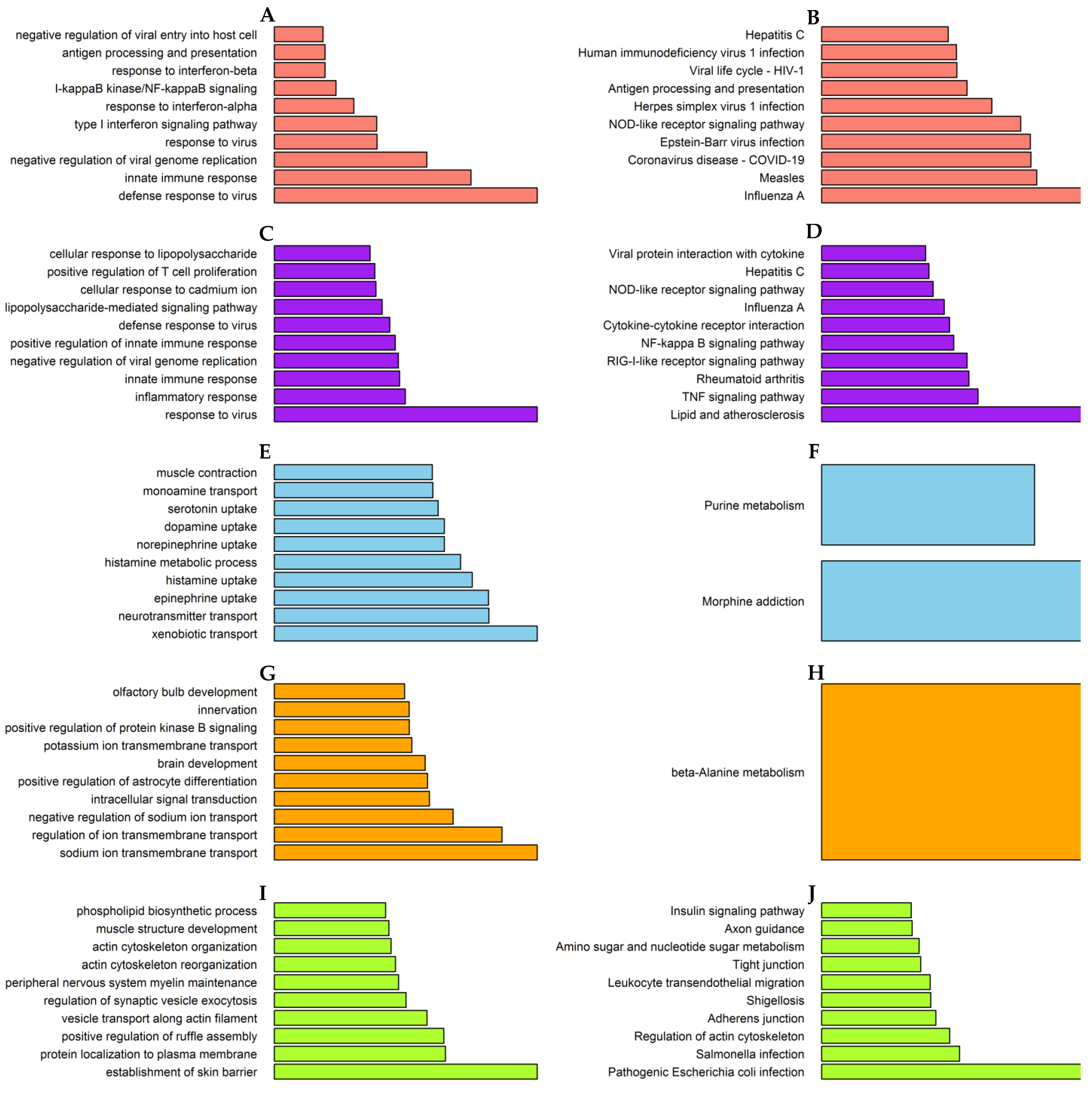 Viruses 14 01625 g004