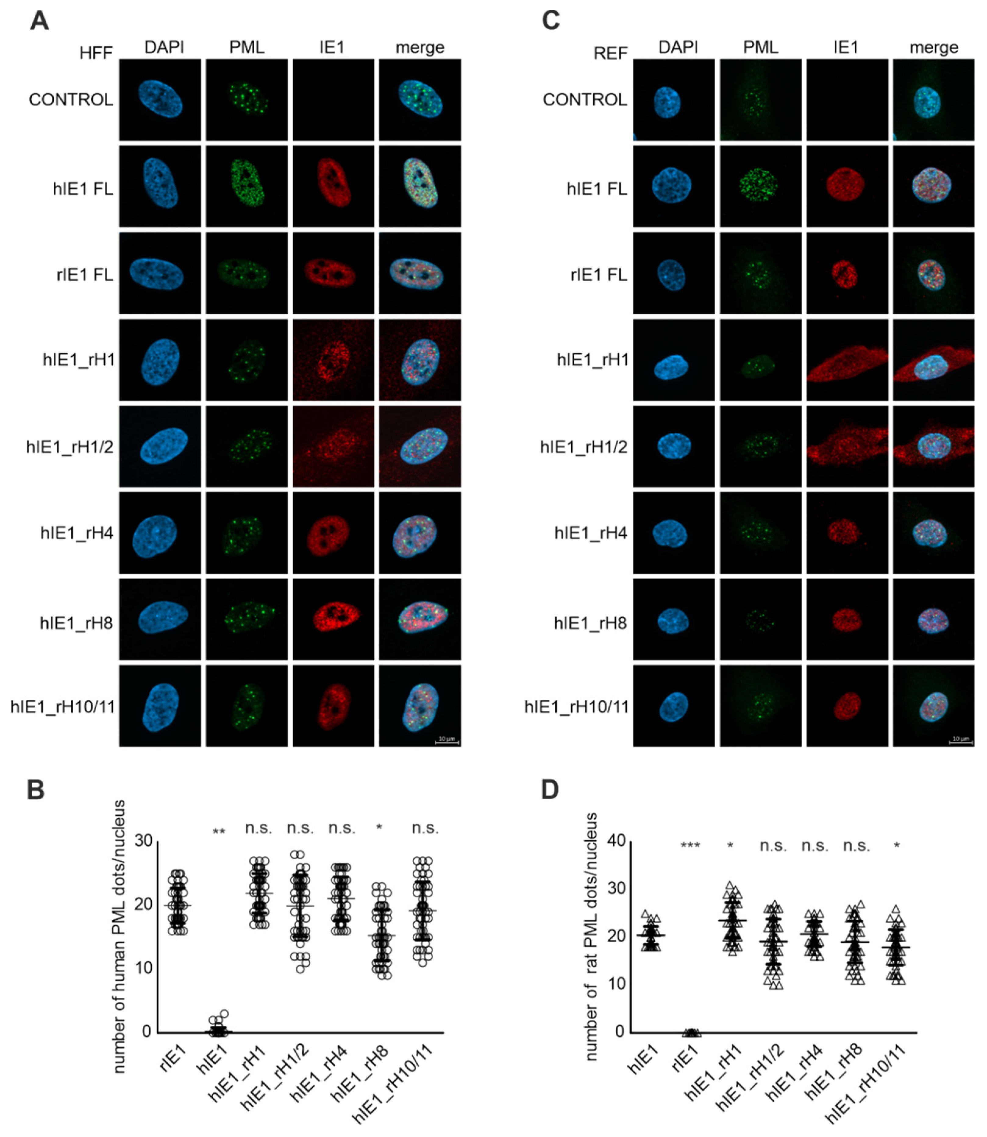 Viruses 14 01626 g004