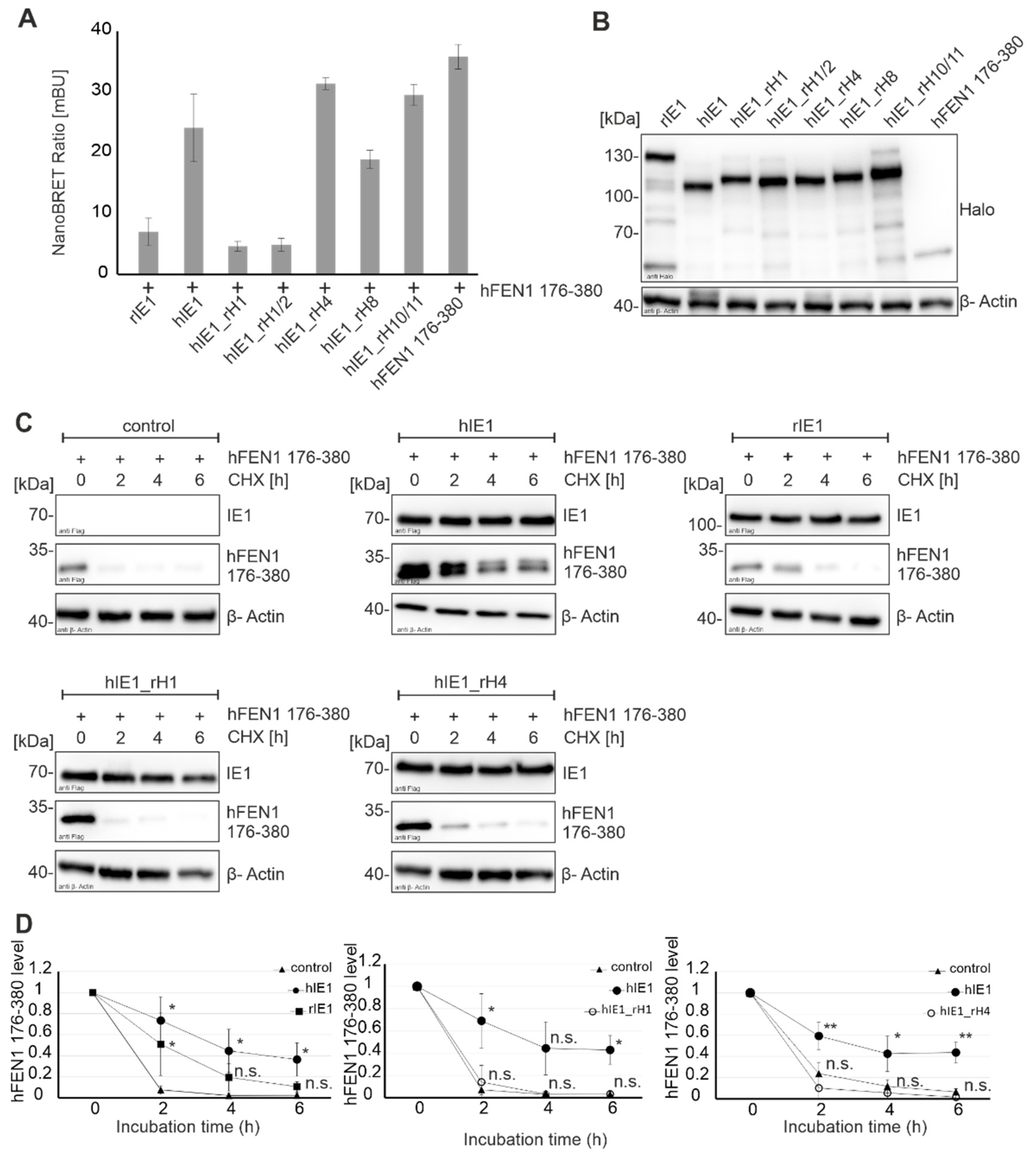 Viruses 14 01626 g005
